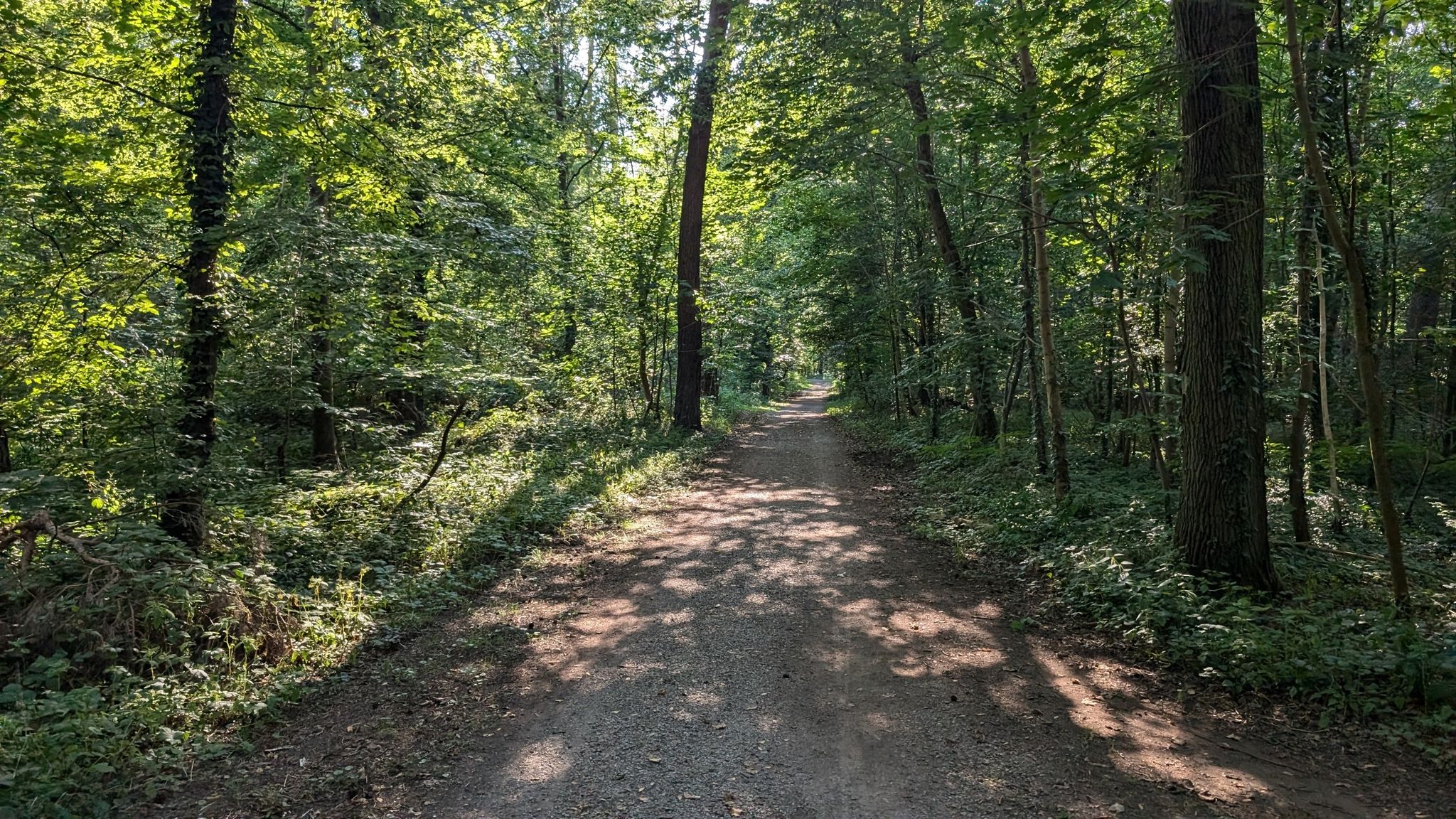Waldweg