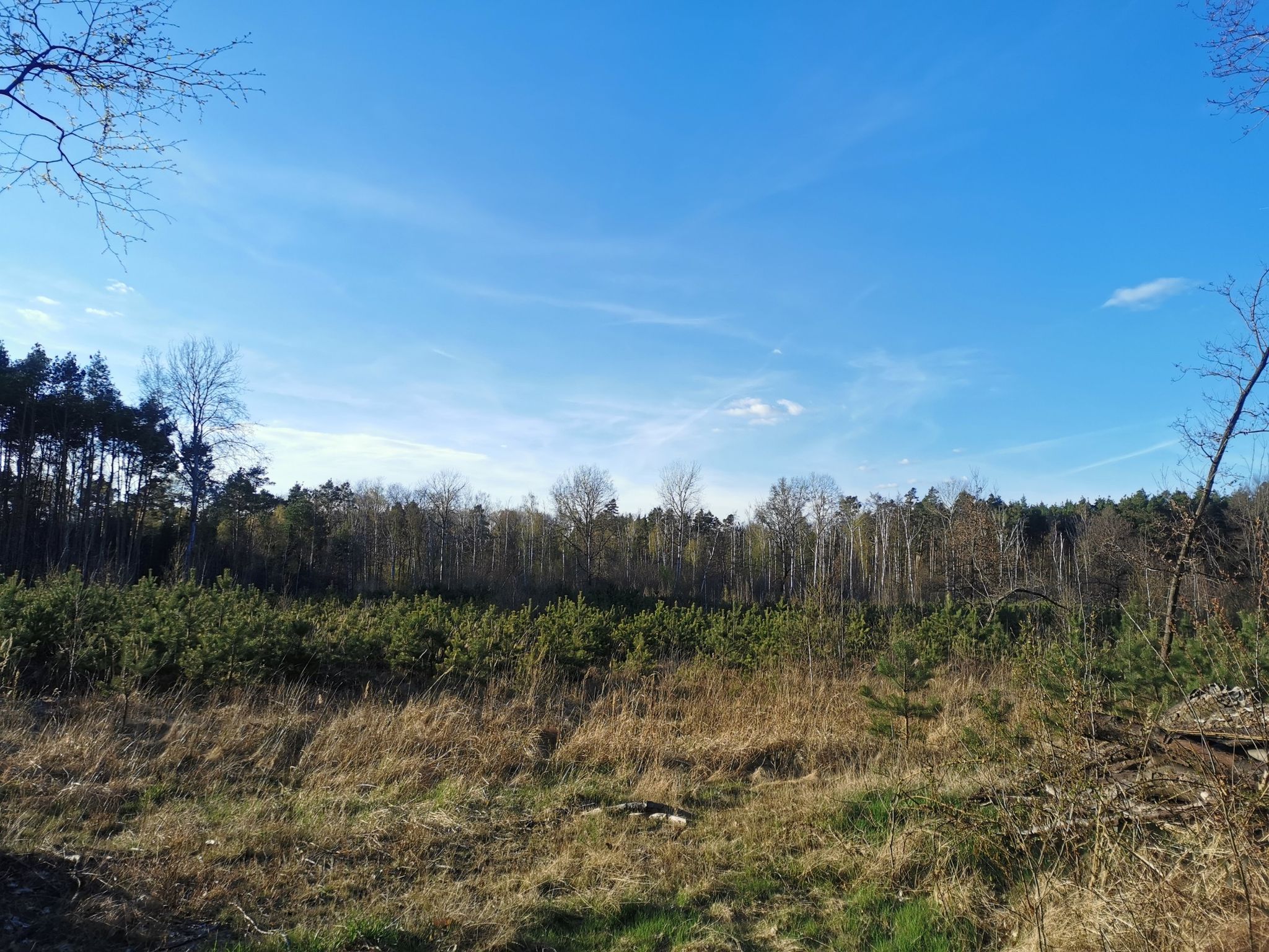 Kleine Weihnachtsbaumfarm