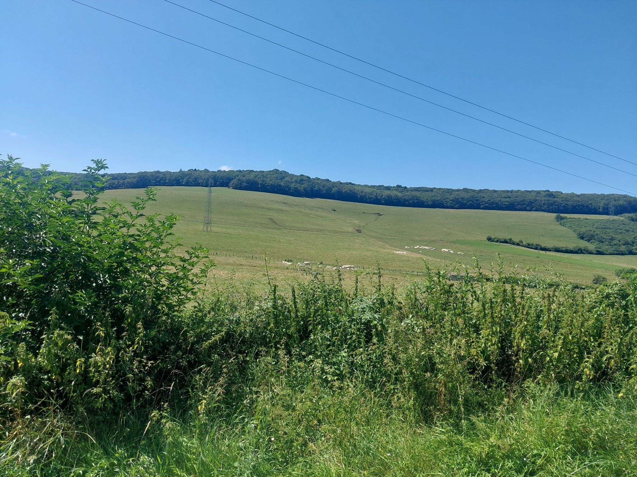 que la campagne est belle
