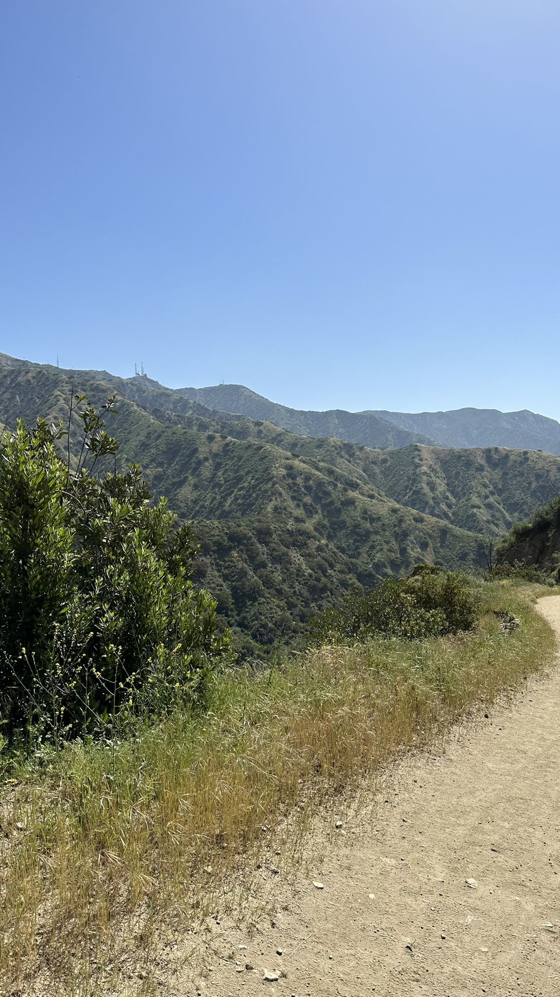 A dirt trail winds beside green, sunlit hills under a clear sky. - Stough Canyon Loop Trail