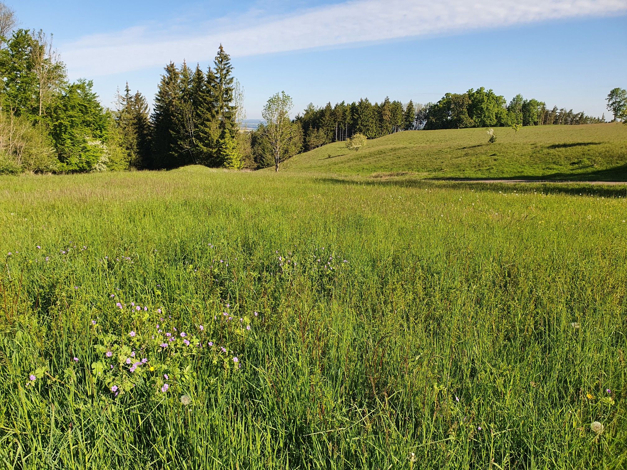Gelber Berg
