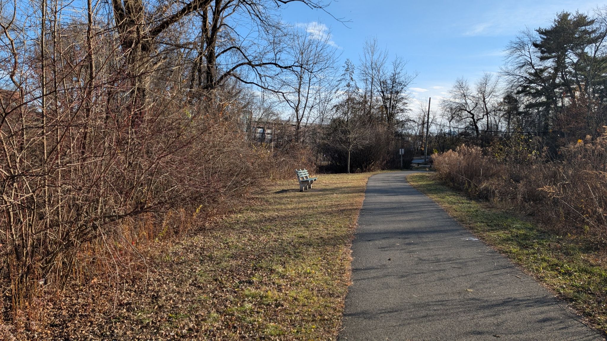 Paved path through dry brush and bare trees, leading to a distant bench. - Bronx River loop from Greenburgh