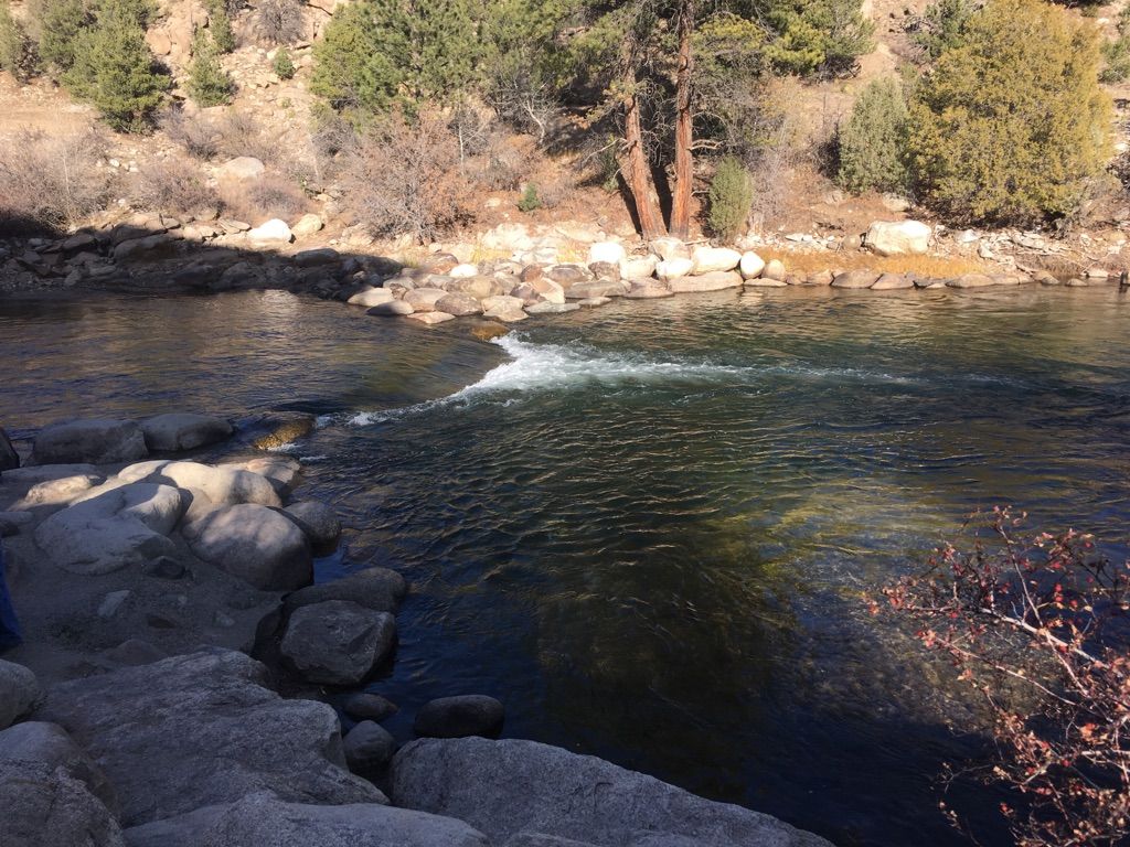 A clear river flows over rocks, surrounded by sunny, tree-lined banks. - Bridge to Bridge Loop