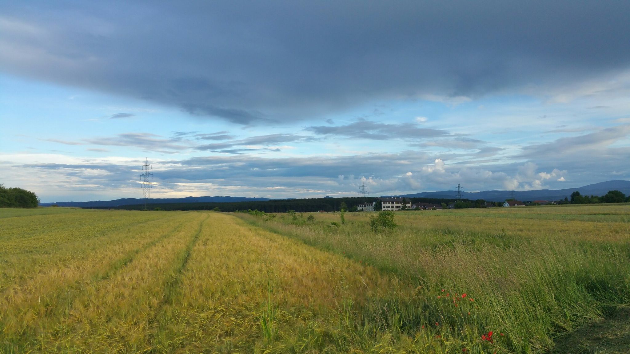 Blick nach Neunkirchen 