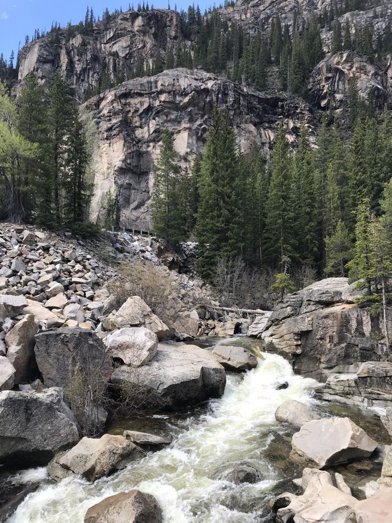 Rushing river flows through a rocky mountain landscape with dense pine trees. - Lincoln Creek to Petroleum and Anderson Lakes Trail