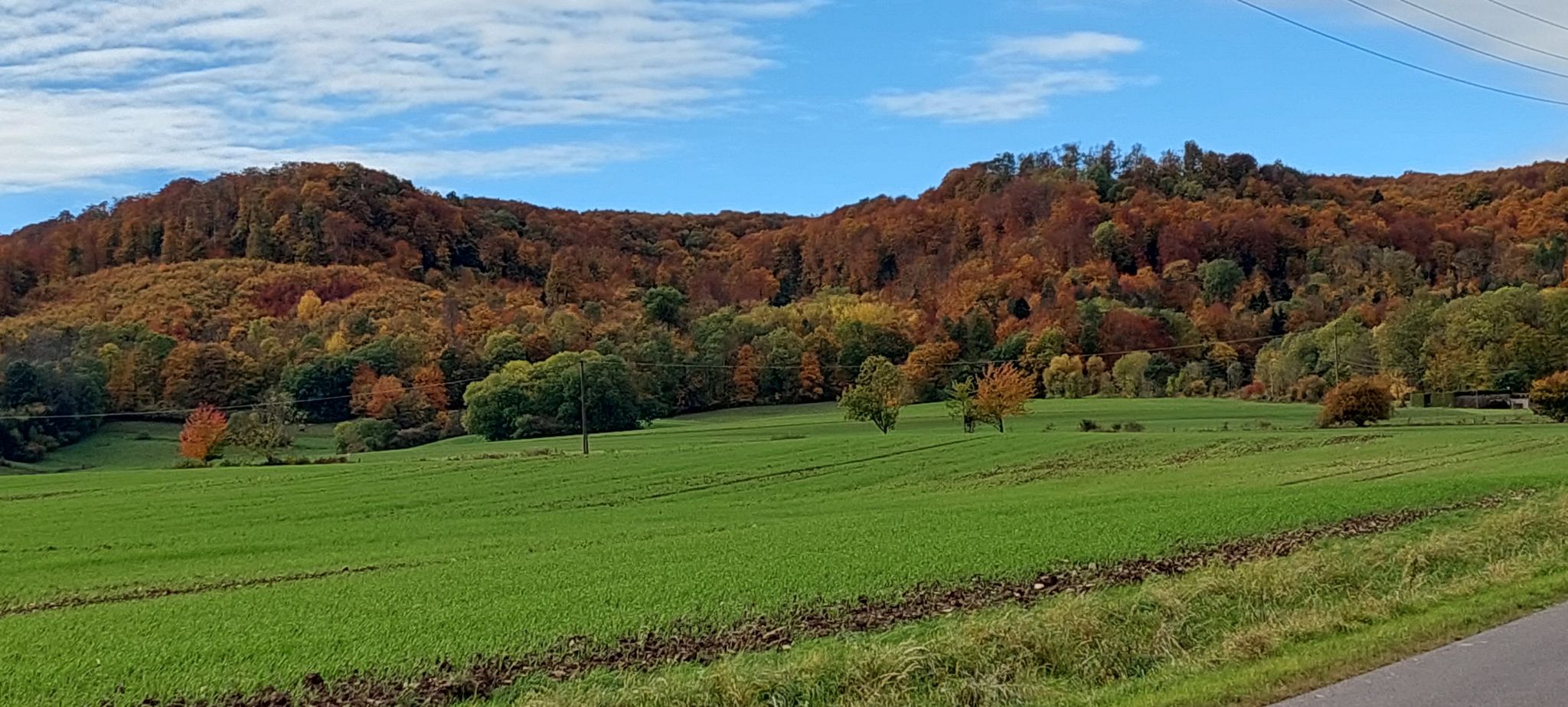 Ohmgebirge