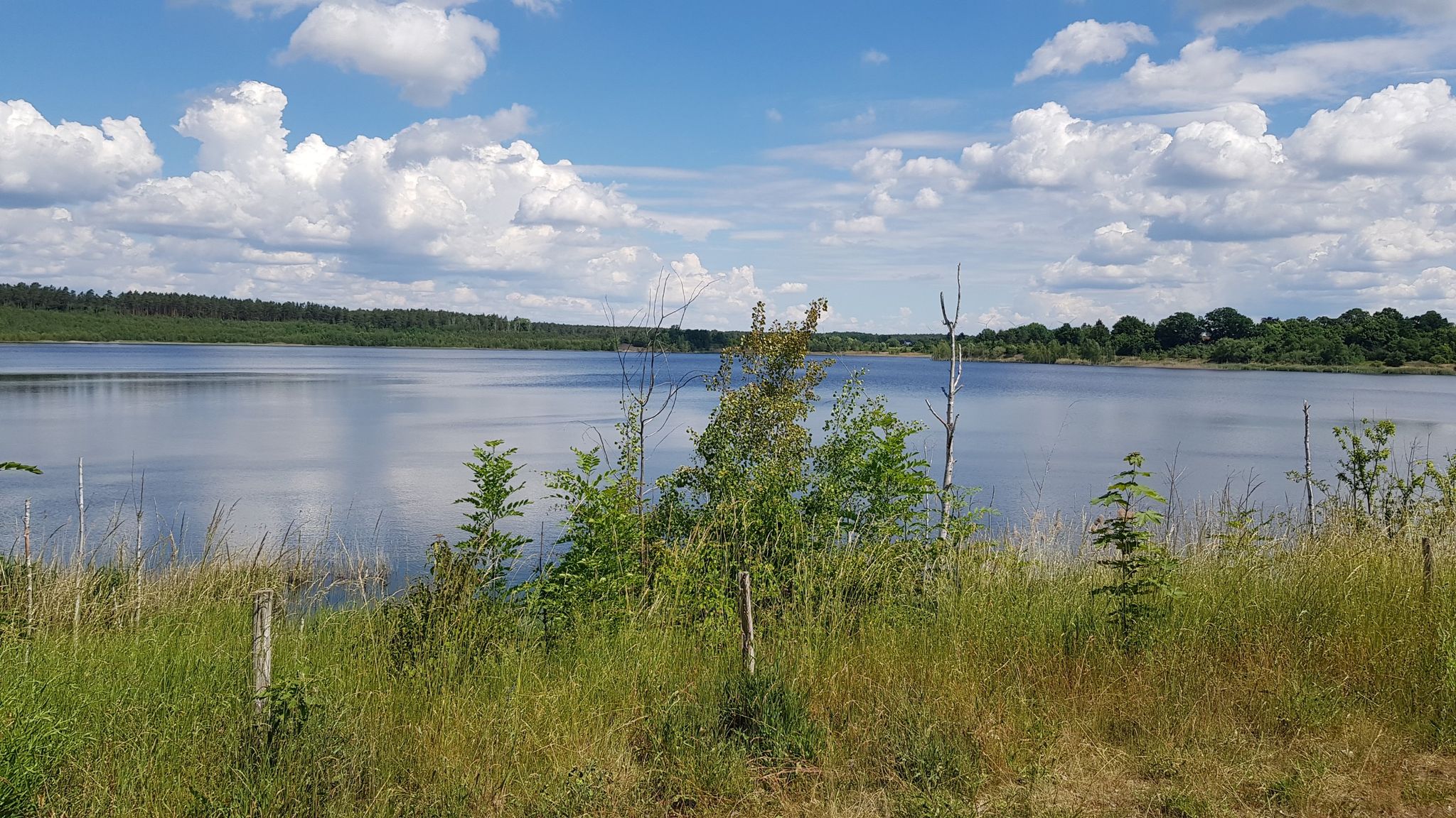 Brechower See