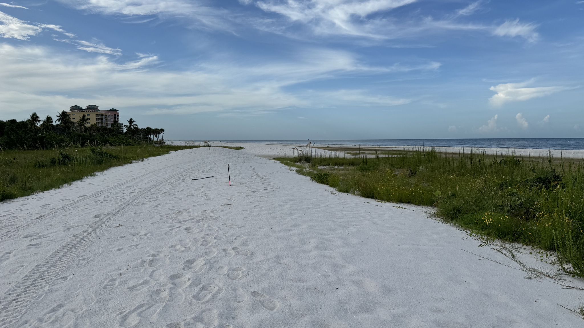 Wide sandy beach with green vegetation, distant building, and blue sky. - Bowditch Point Park