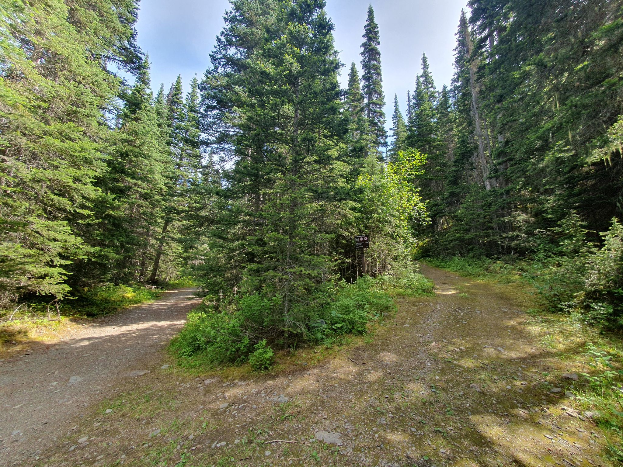 way point 2 - trail marker