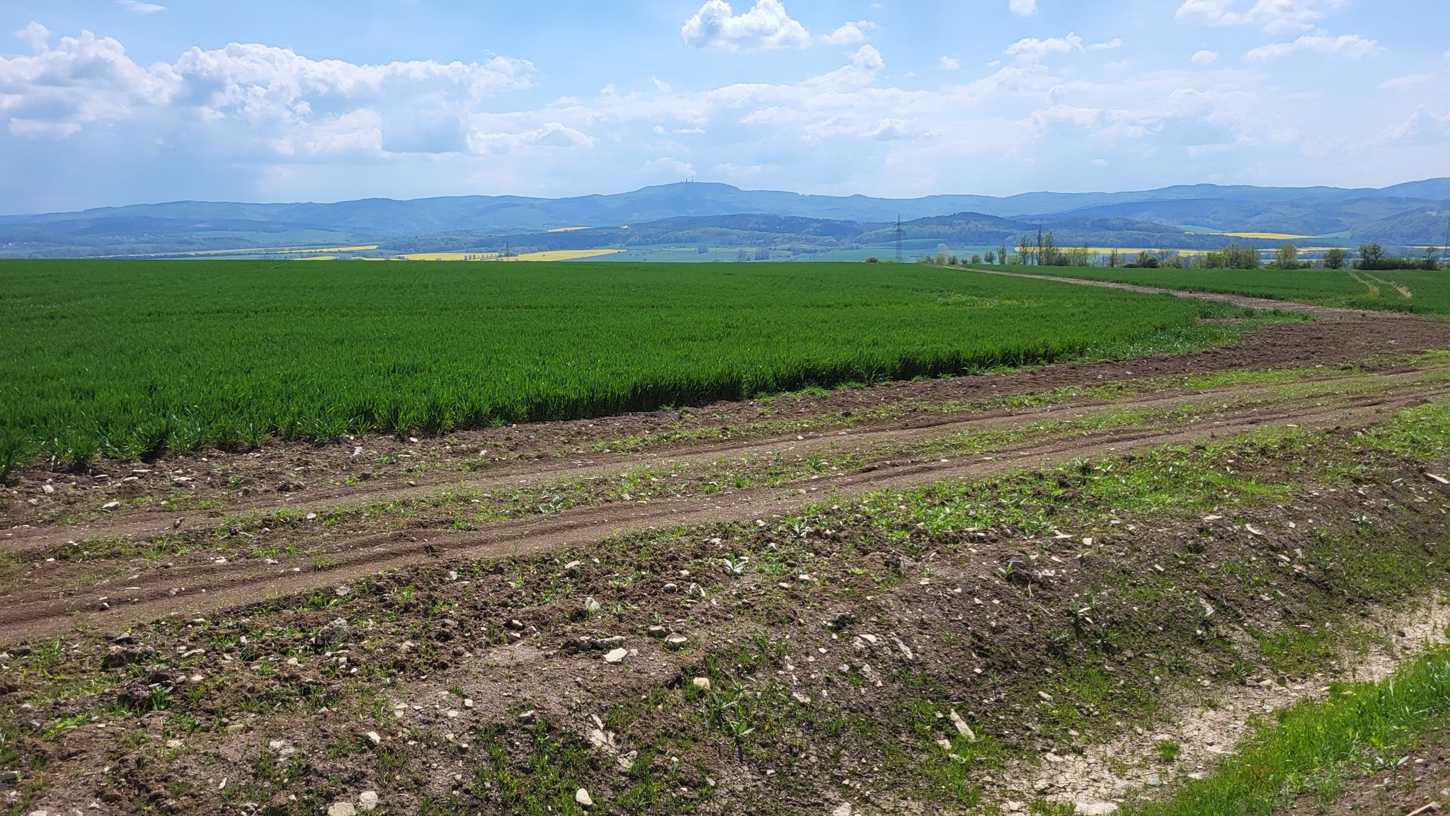 Panorama