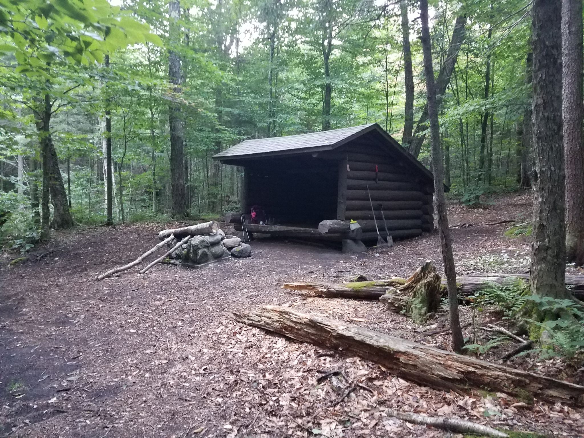 A wooden lean-to shelter in a dense forest with a fire pit. - Blueberry Trail