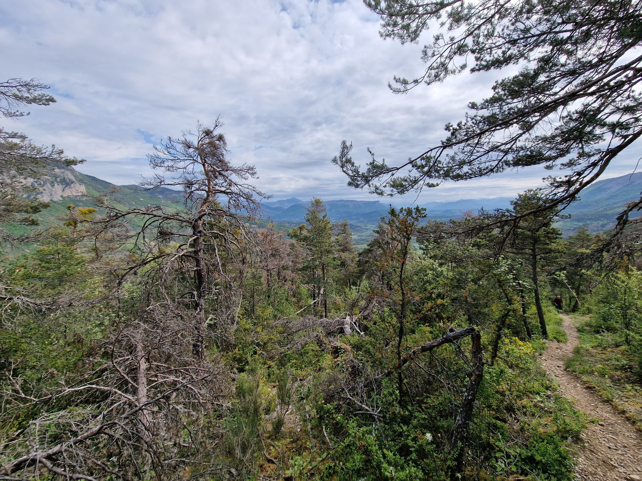 view