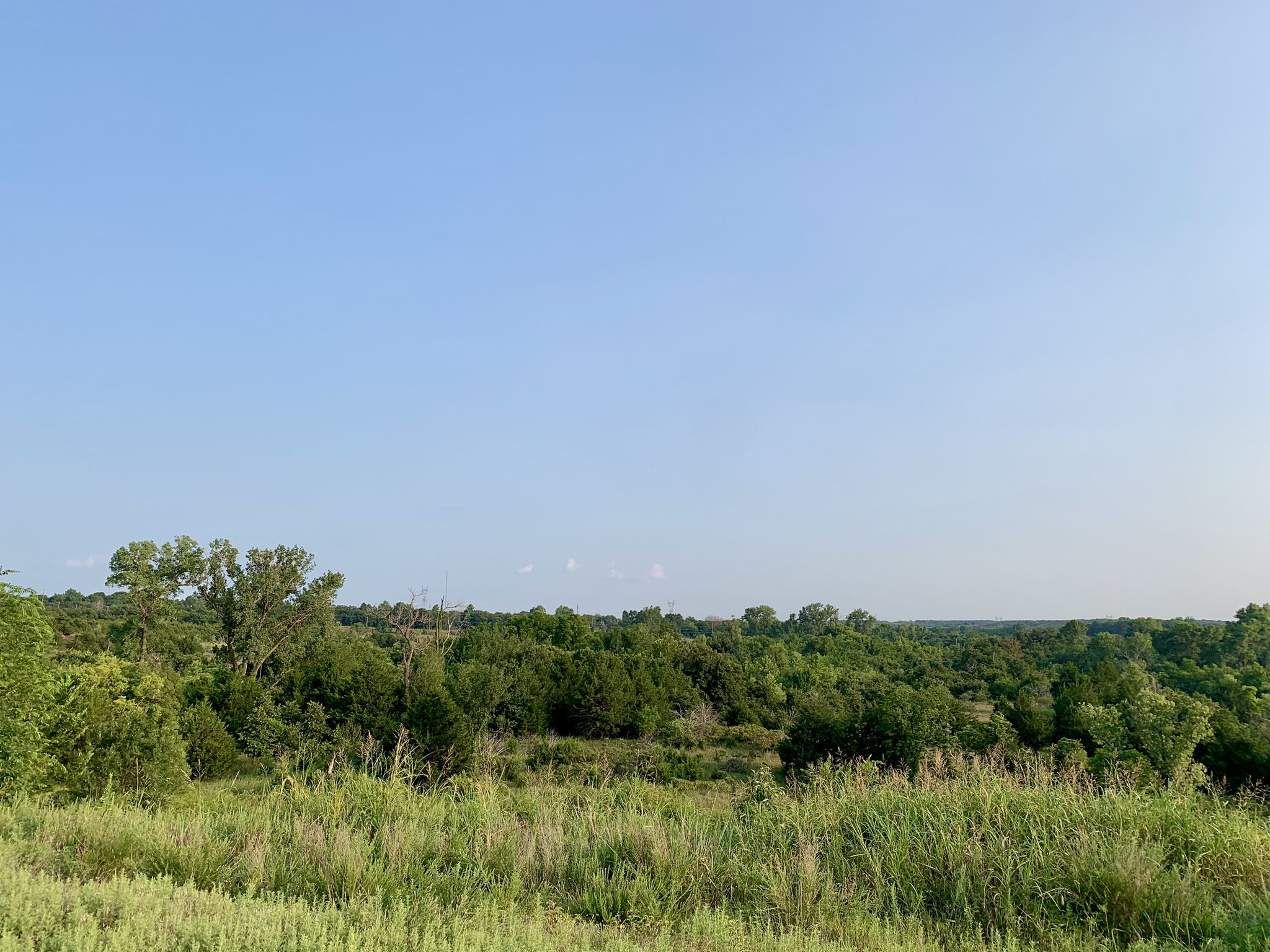 Vast green forest and grassy landscape under a bright blue sky. - Lake Stanley Draper loop from Lake Stanley Draper Park