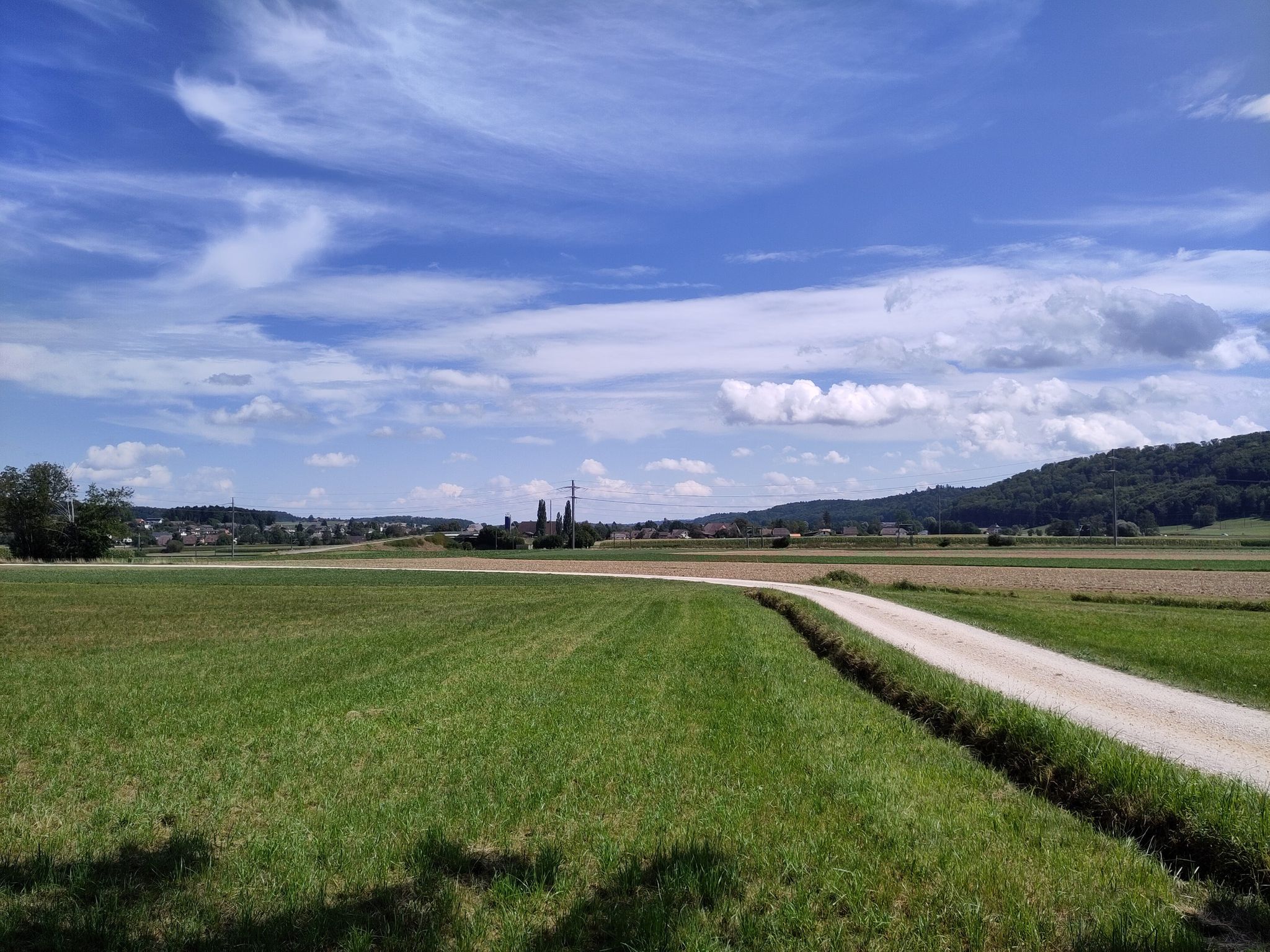 Feldweg Richtung Herzogenbuchsee