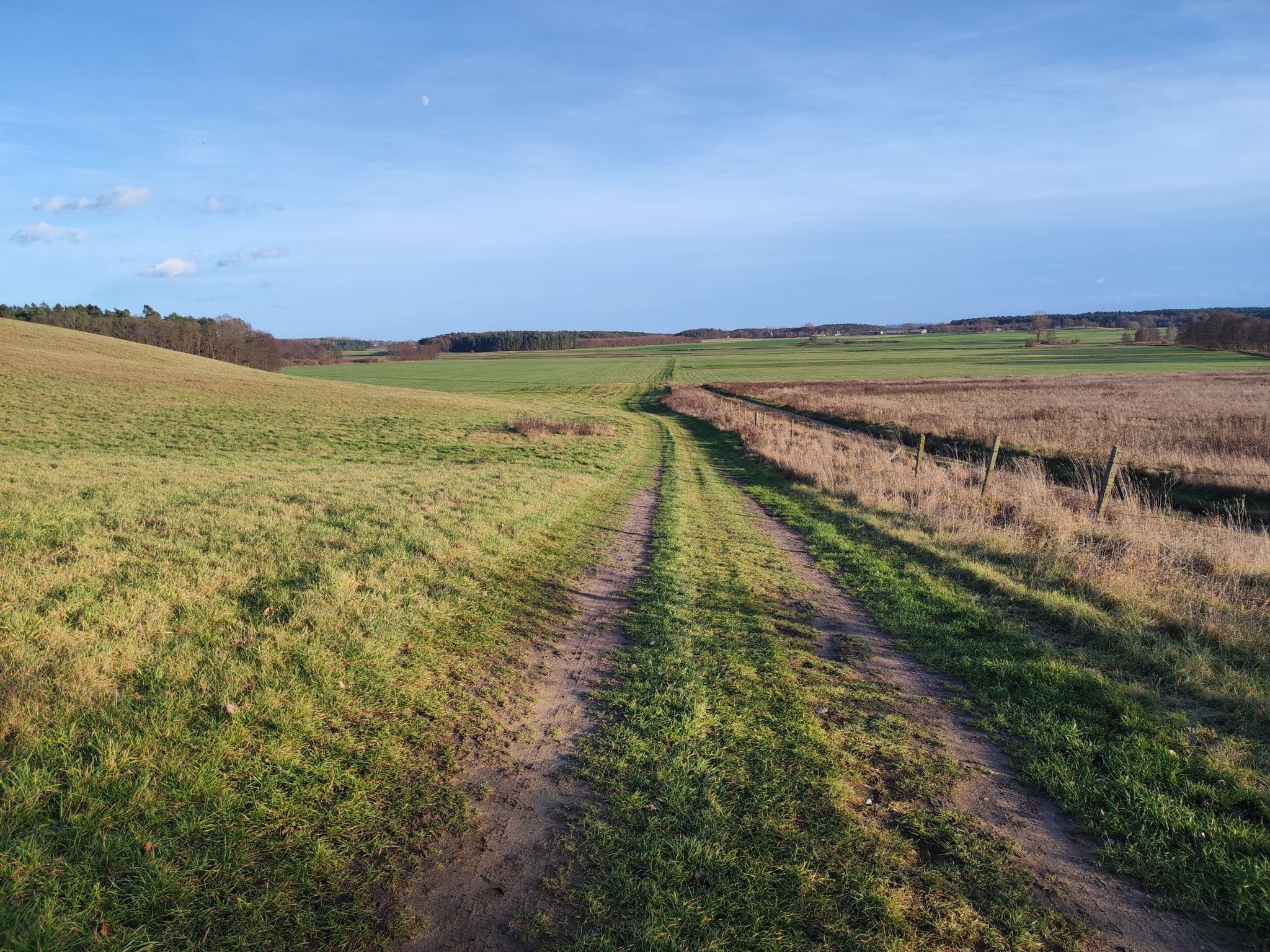 Blick ins Recknitz-Tal
