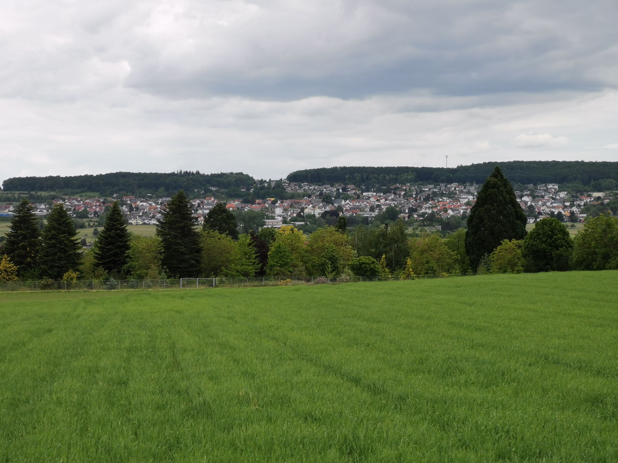 Alten-Buseck