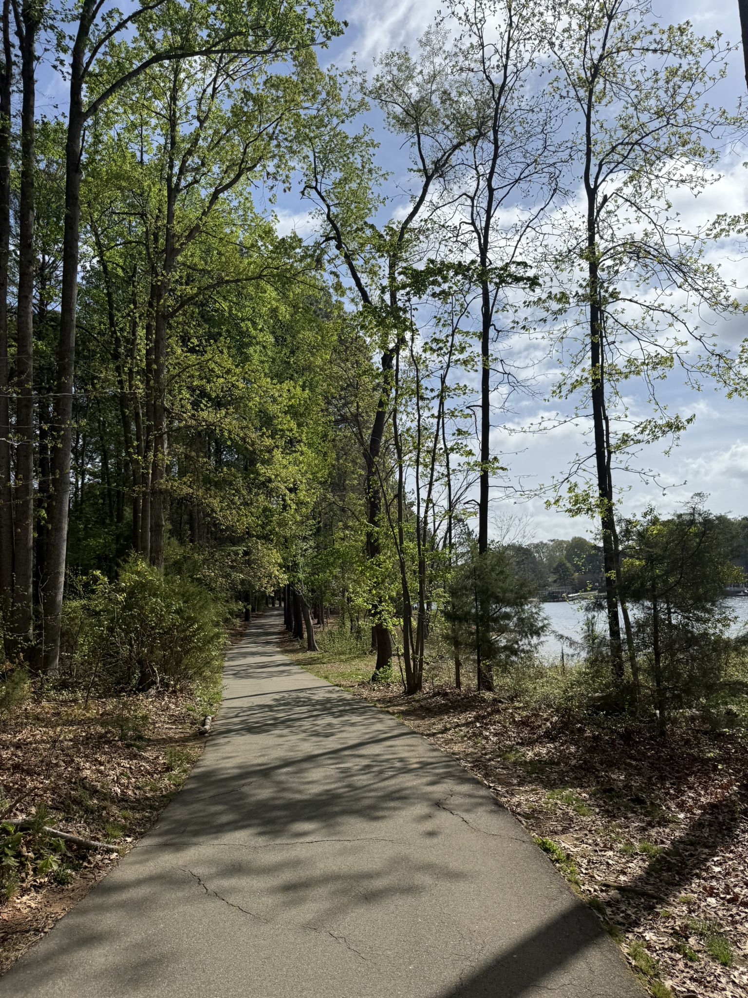 Paved path alongside a lake, surrounded by green trees in bright light. - Ramsey Creek Loop