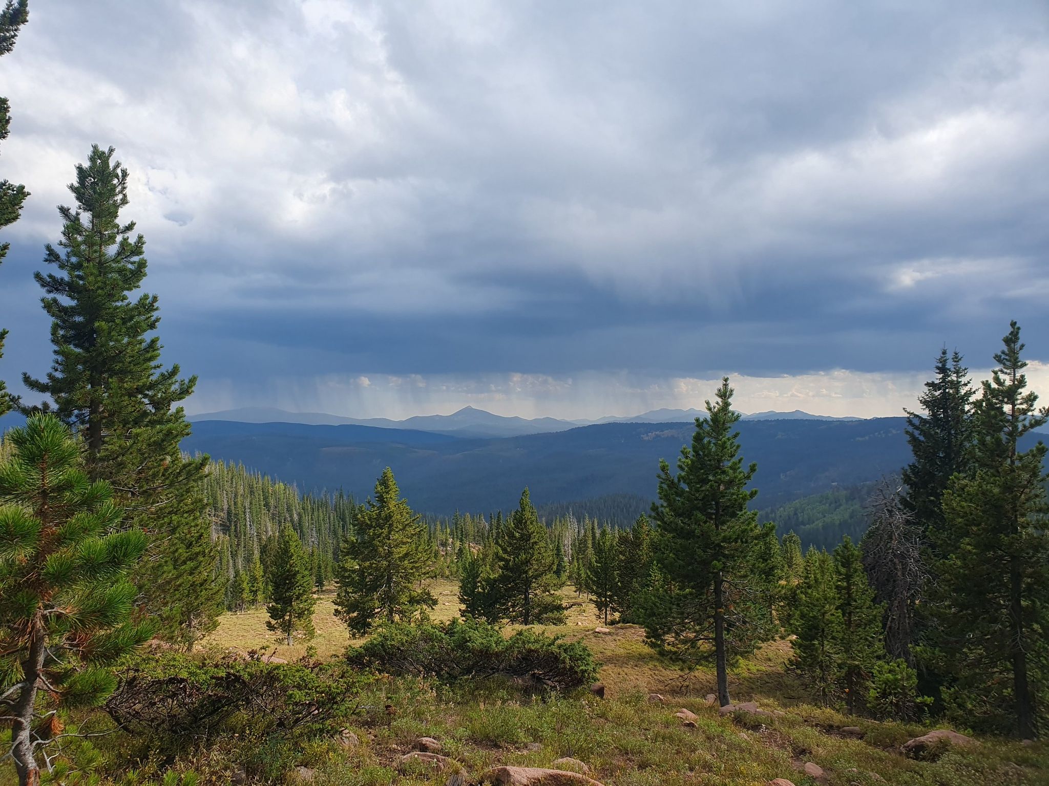 A vast mountain landscape with pine forests under a stormy, rainy sky. - Green Mountain and Continental Divide Trail Loop