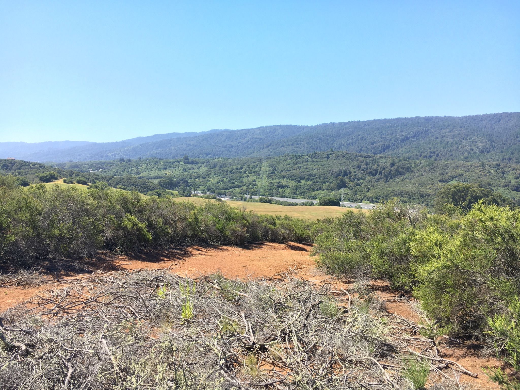 Expansive view of green hills, trees, and an open field. - Lower Kings Mountain Road – Kings Mountain Road loop from Pulgas Ridge Open Space Preserve
