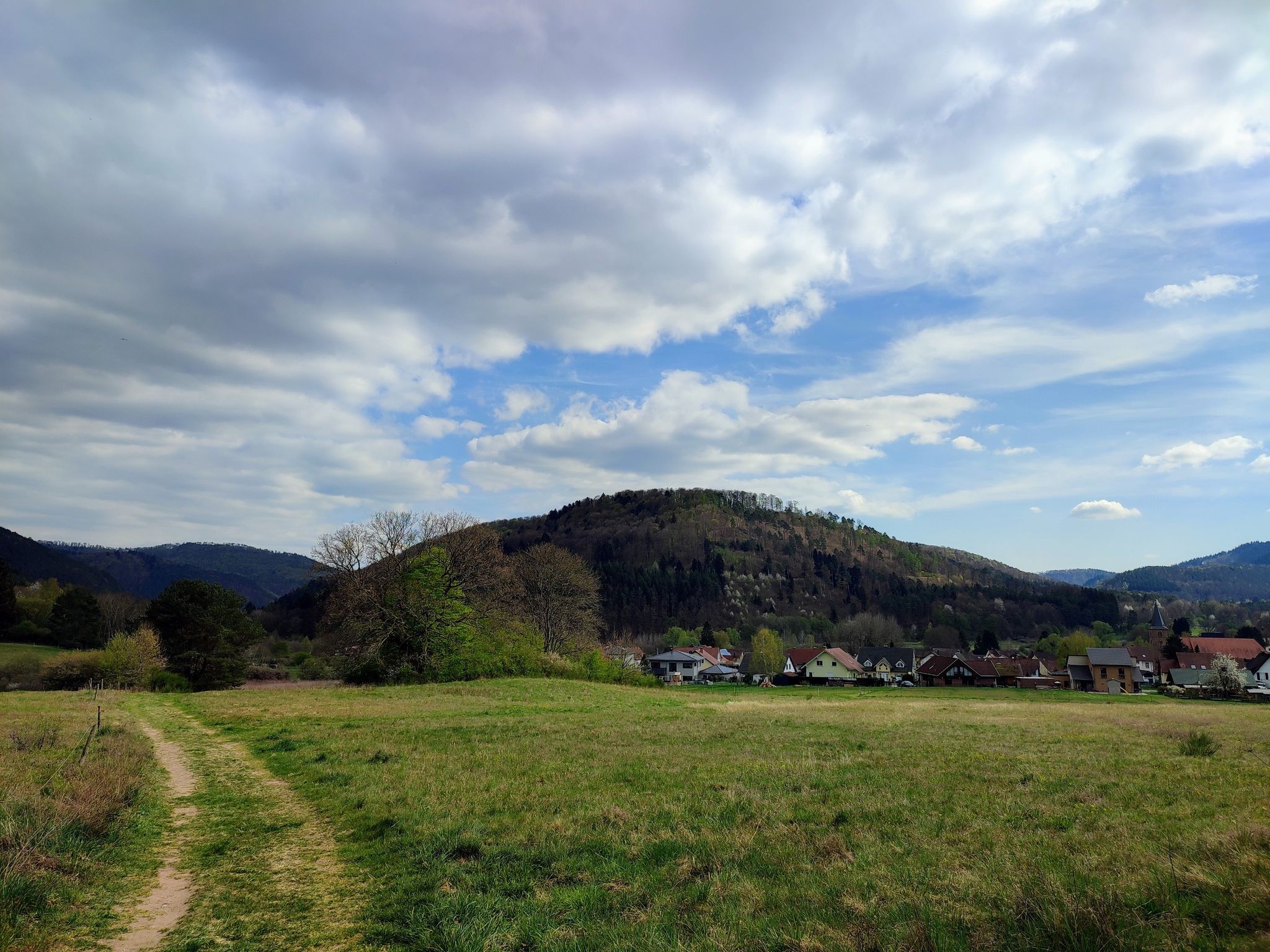 Durch die Wiese um Fischbach drumrum
