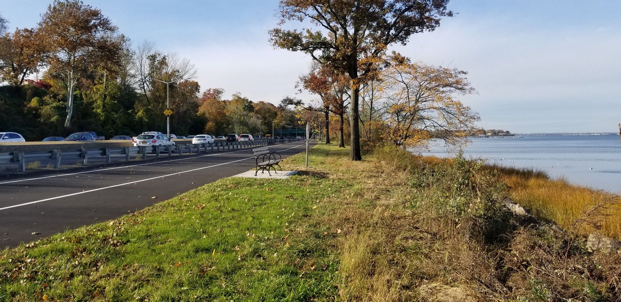 Road alongside water with trees, parked cars, and a bench. - Little Neck & Great Neck Loop