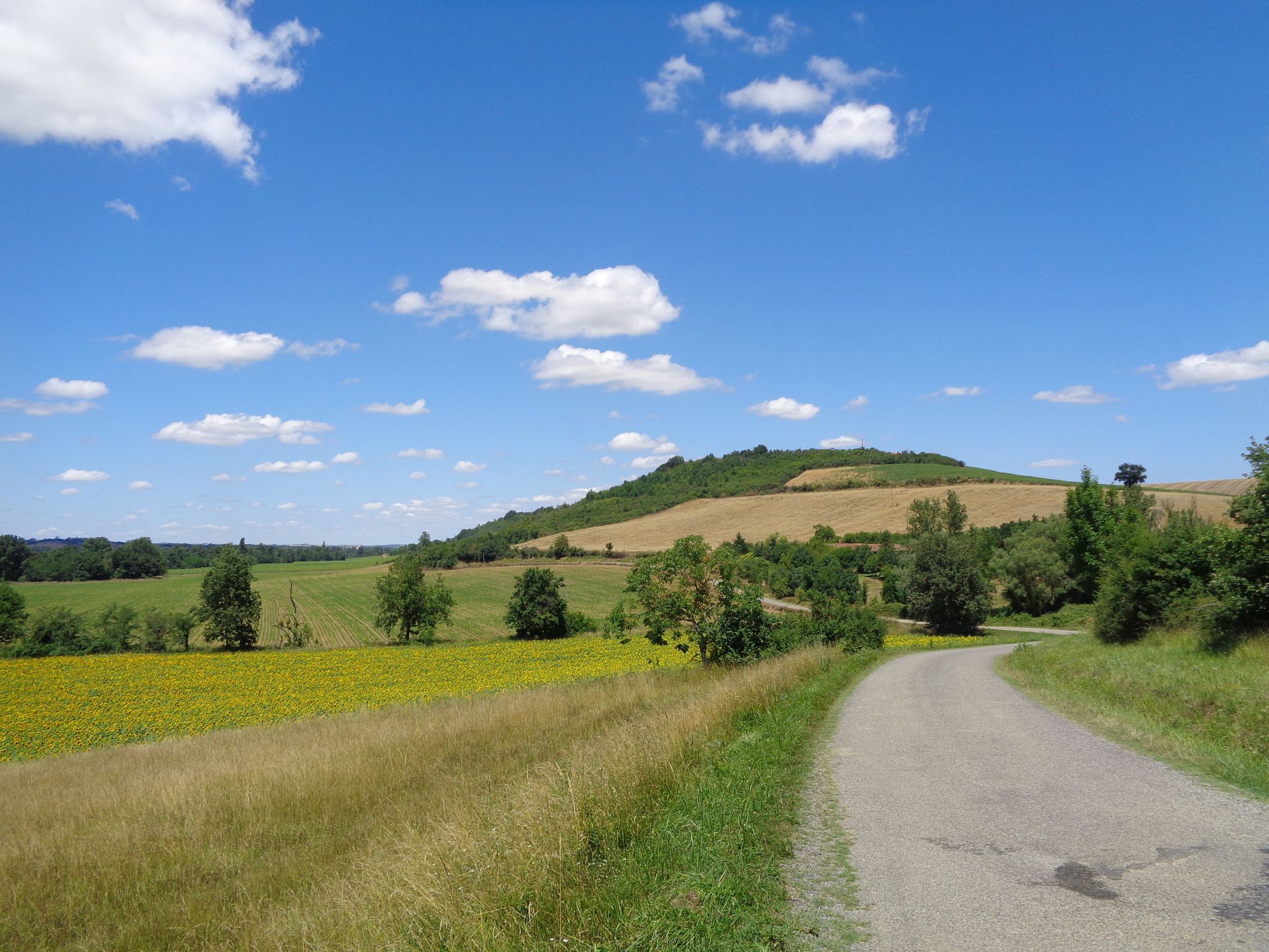 One of my favorite tracks in the area, a backward road from St Ybar towards Beaumont sur Lèze.