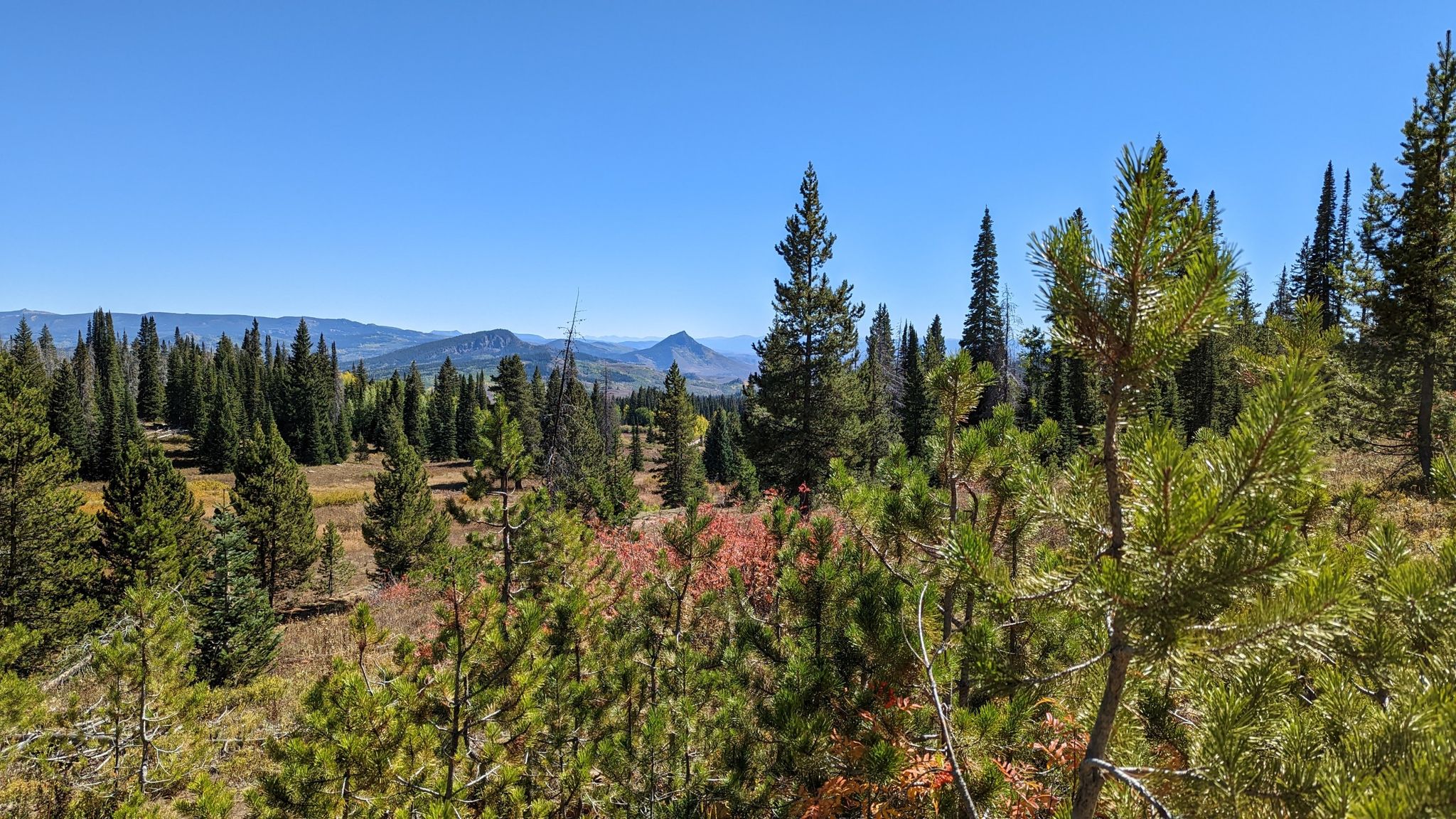 Sunny panoramic view of a vast pine forest with distant blue mountains. - Rabbit Ears Peak via Rabbit Ears Trail