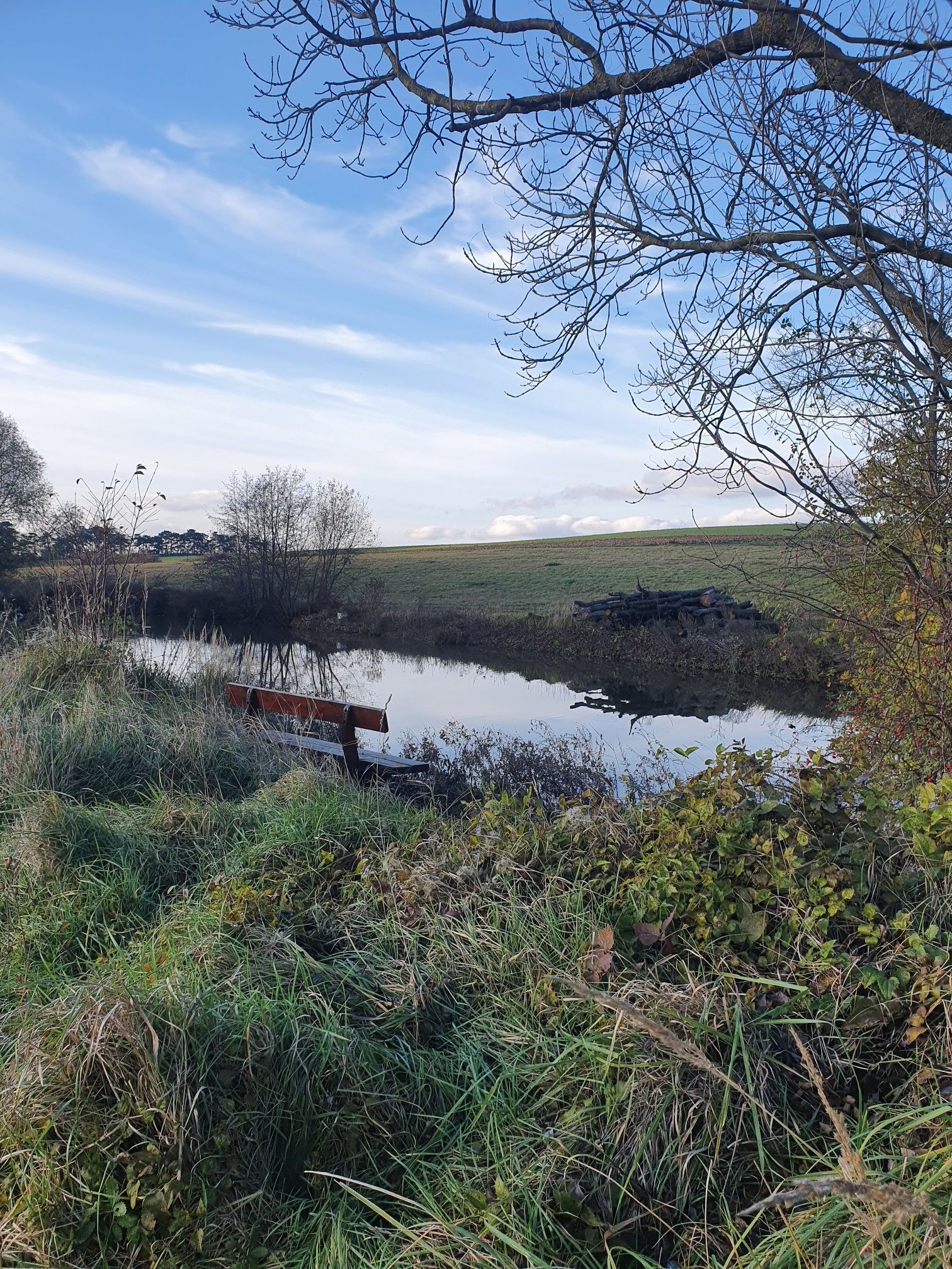 Teich nordöstlich Grossrussbach