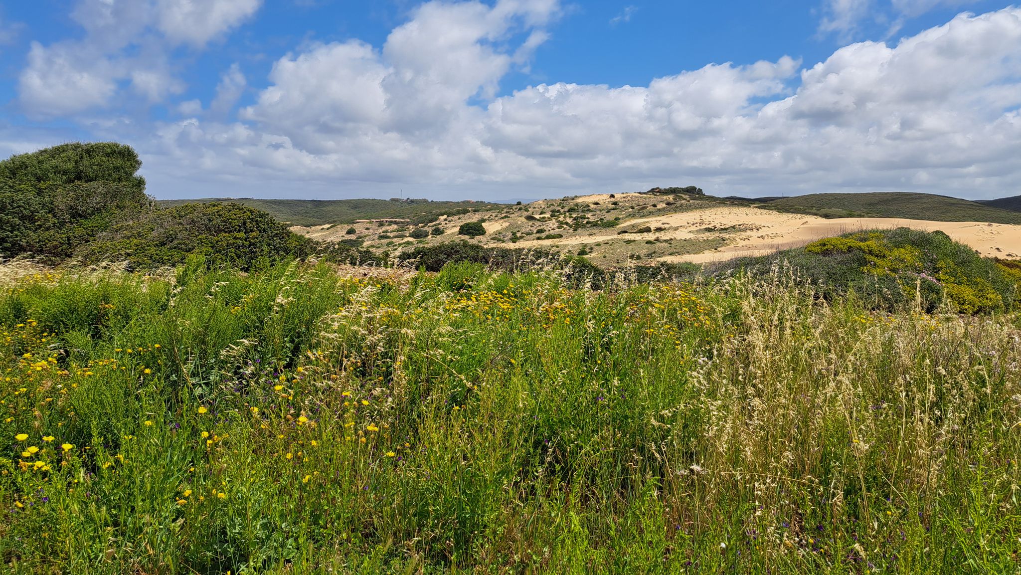 La belle dune di sabbia a Torre dei Corsari.