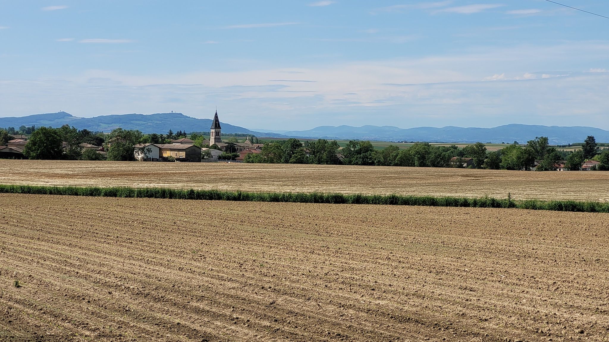 Savigneux