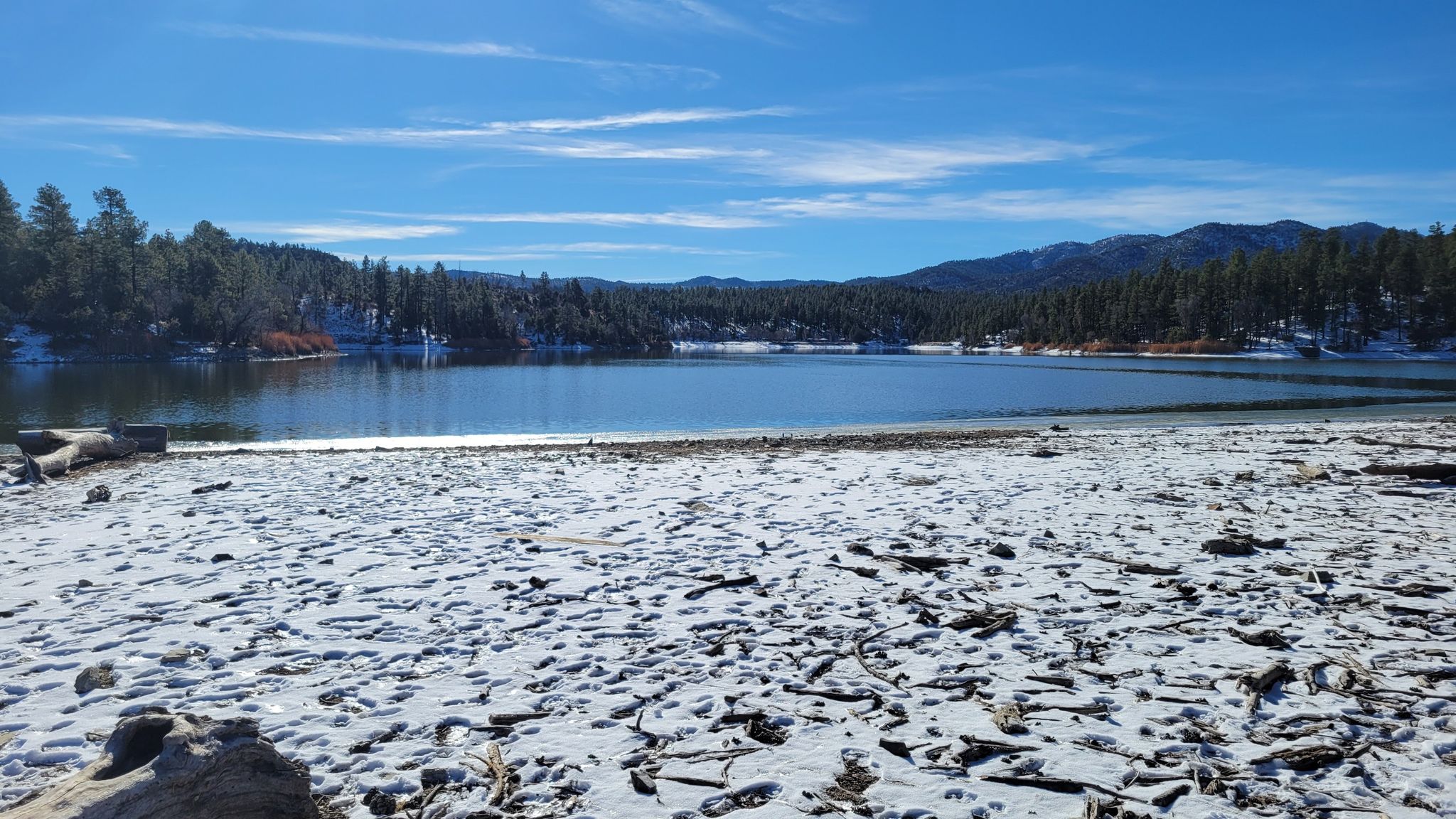 Snow-covered ground by a lake, surrounded by pine trees, bright sunny day. - Gold Pan Trail #444 to Lynx Lake