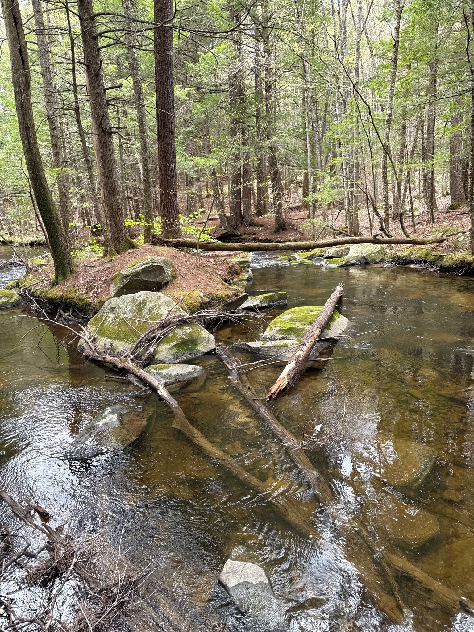 Southern Fish Pool