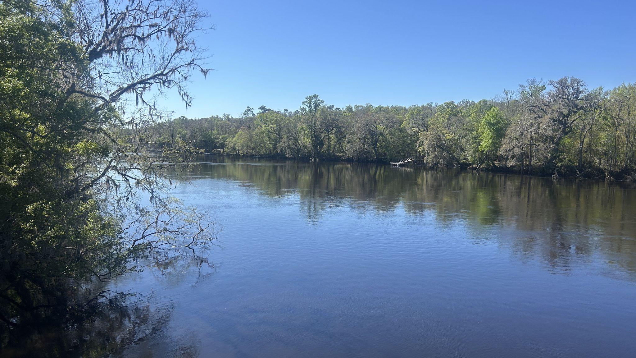 Serene river flowing between lush green banks under a clear blue sky. - Nature Coast State Trail