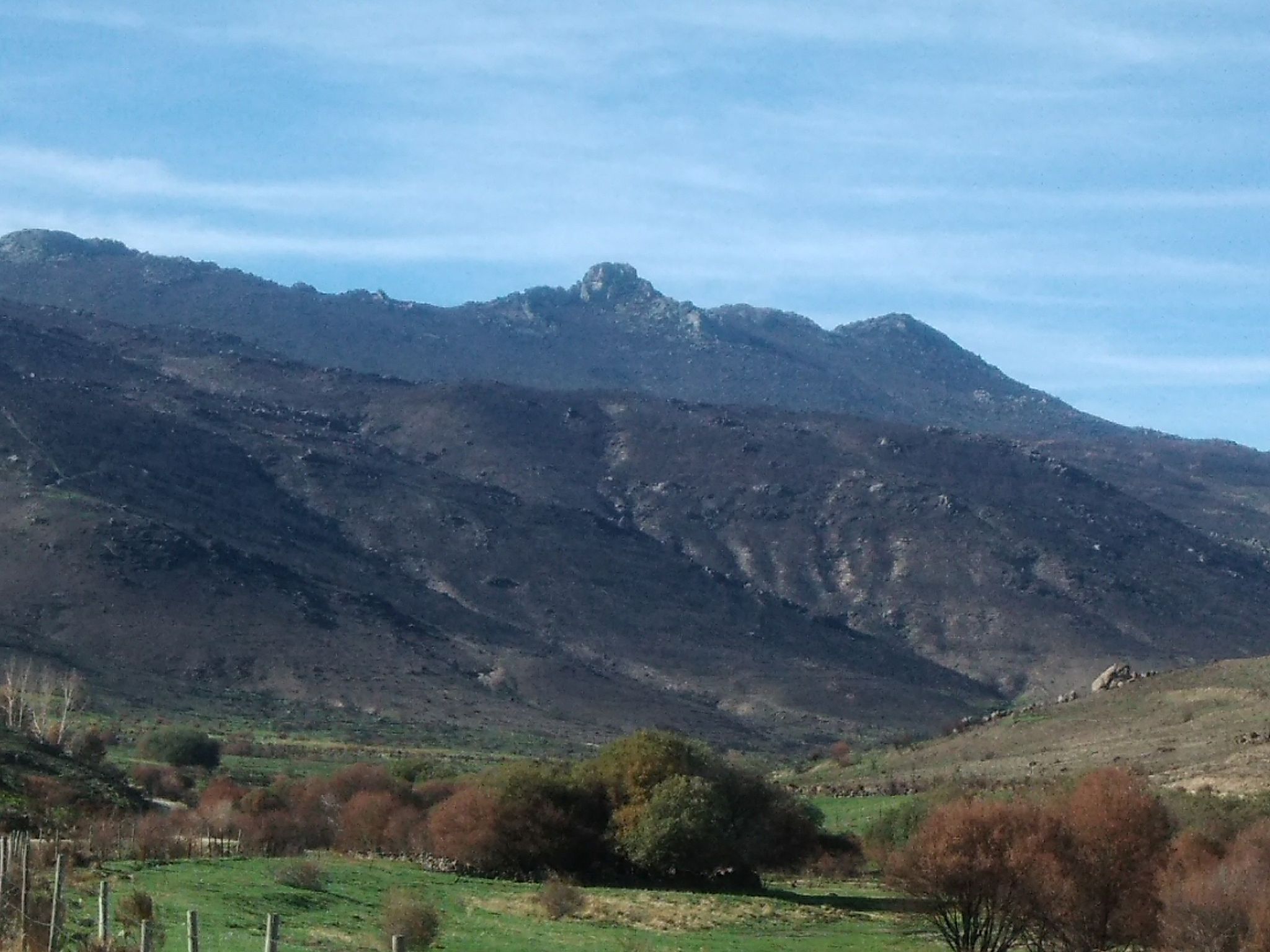 pico zapatero