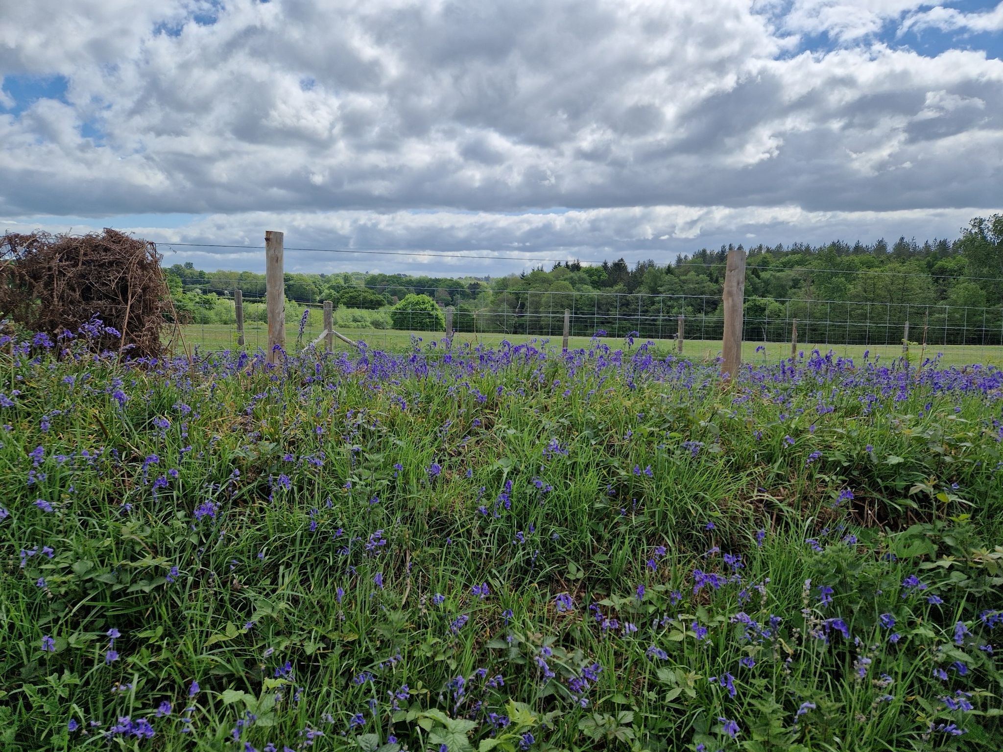 east Sussex view
