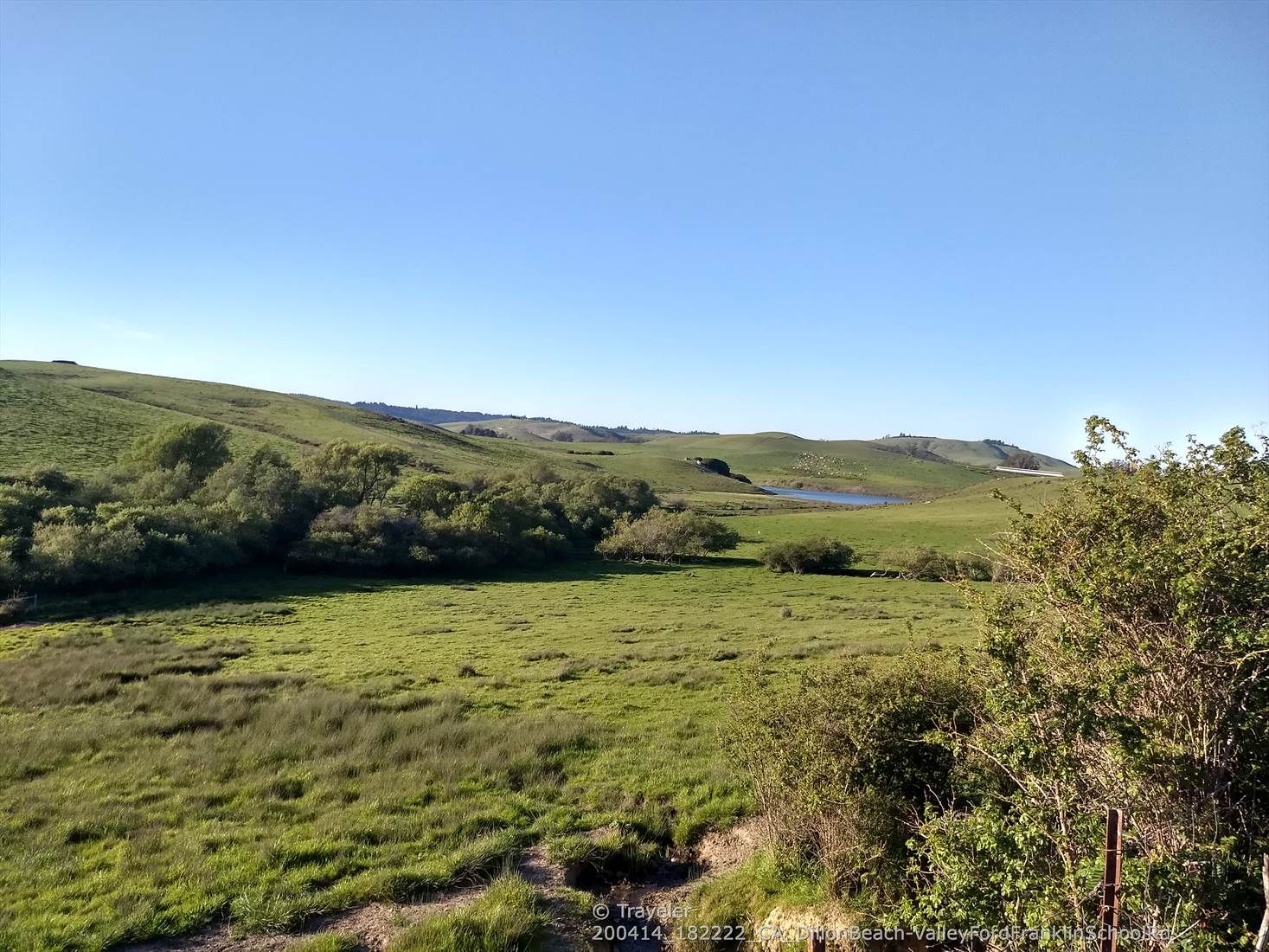 Expansive green fields and rolling hills under a clear blue sky. - Chileno Valley Road – Estero de San Antonio loop from Petaluma Downtown