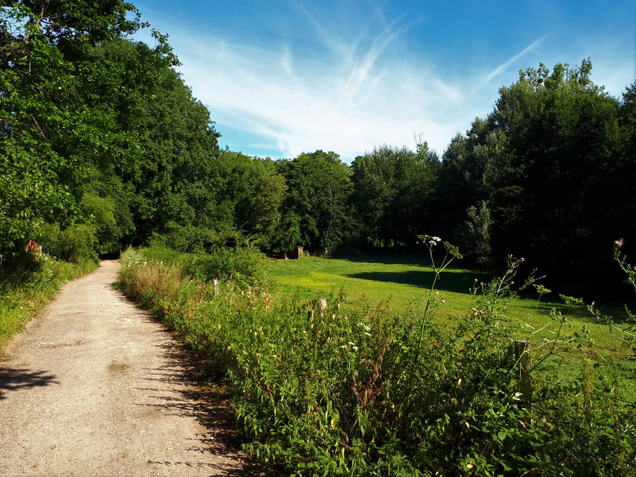 Belle piste sur les bords de l Yvette