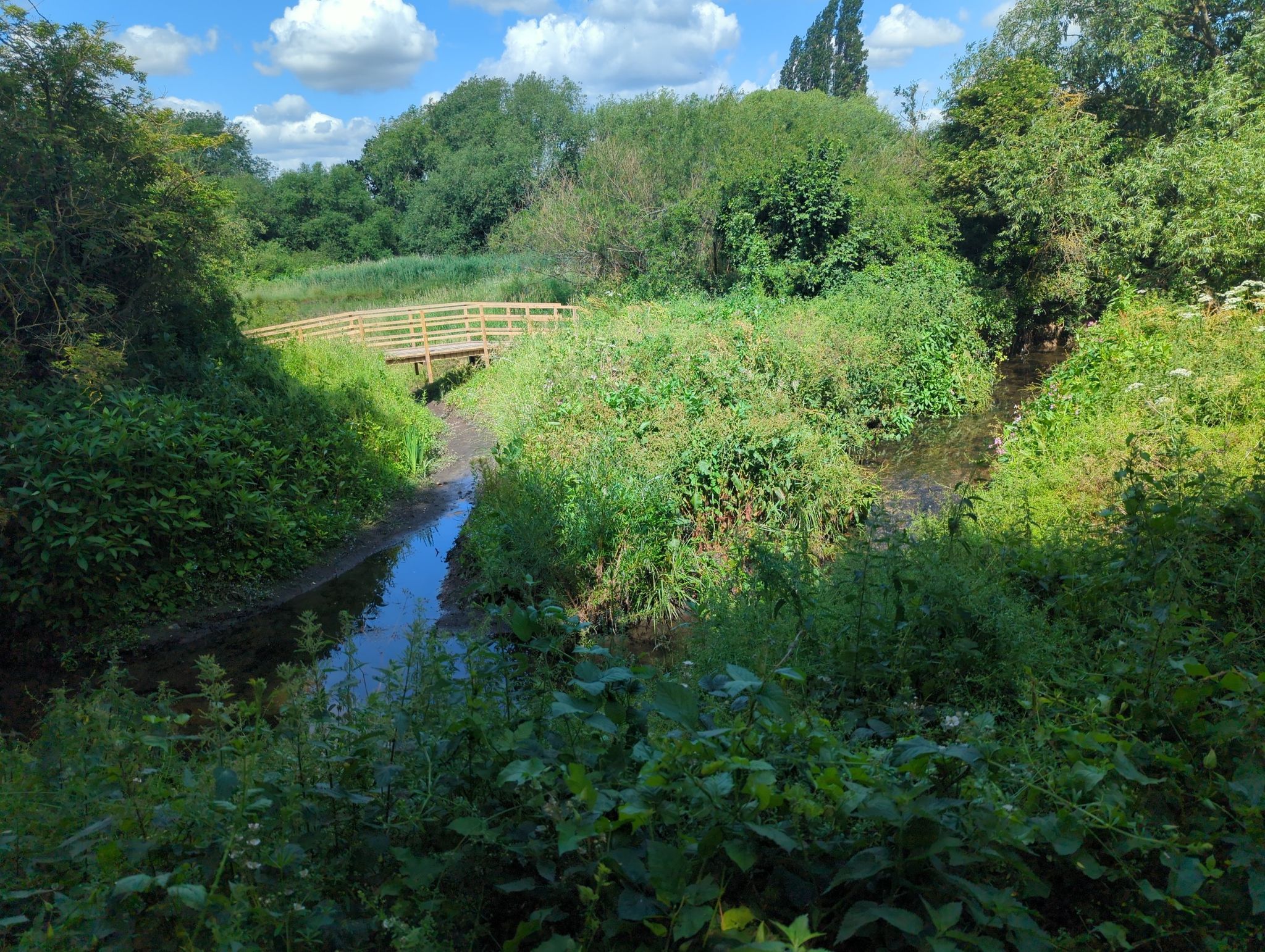 River Rom