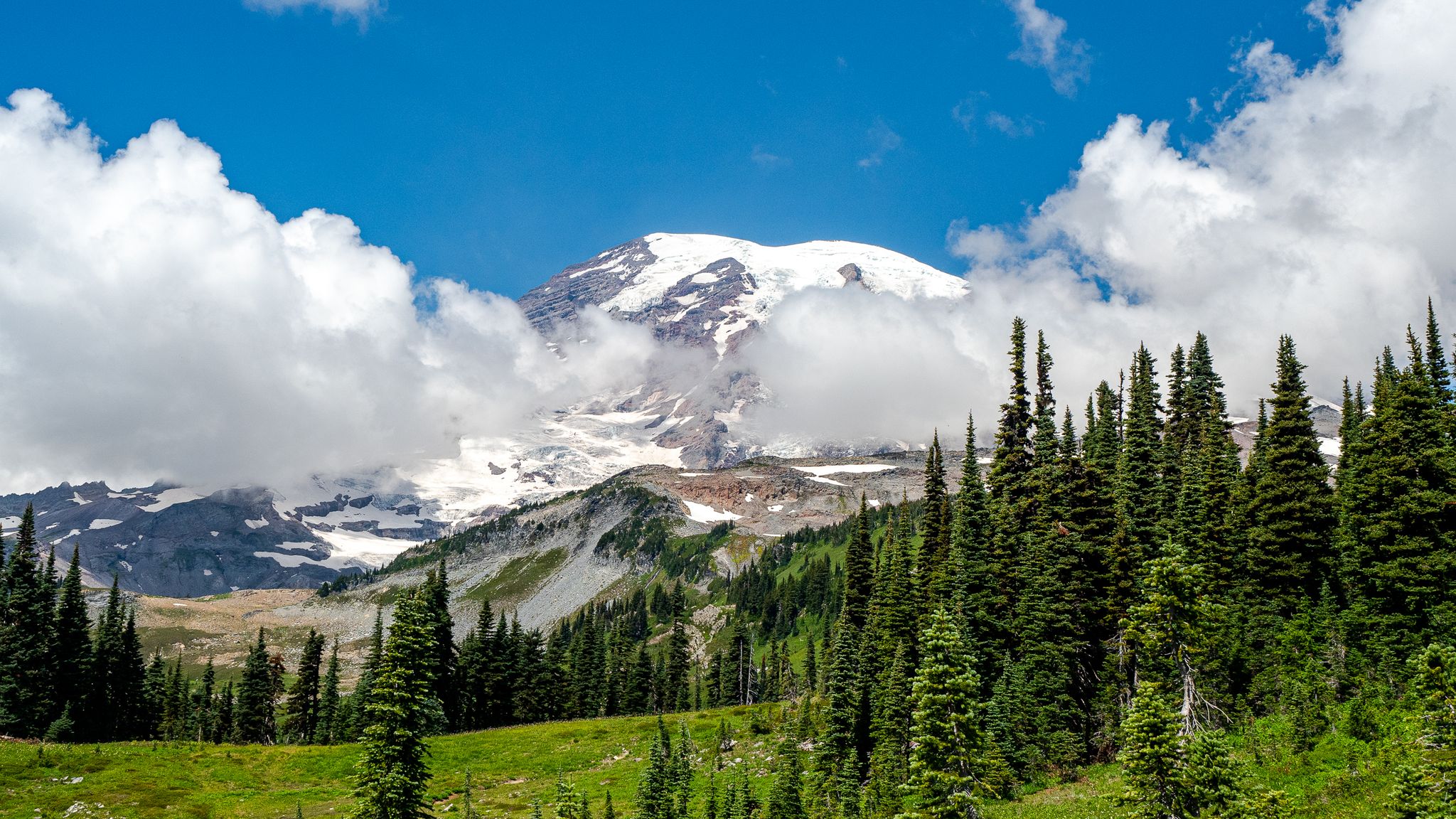 A snow-capped mountain peak partially obscured by clouds, surrounded by green pine trees. - Skyline Trail Loop