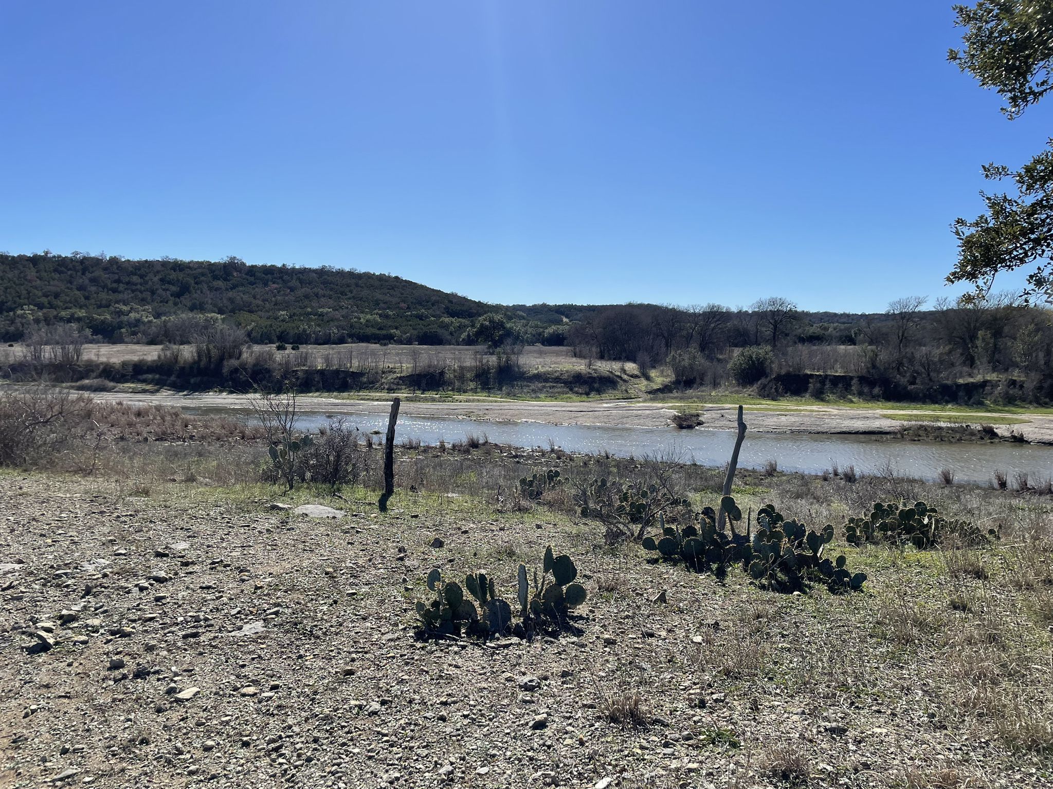 Wide river with cacti in the foreground under a bright blue sky. - Tejas Park loop from Divine Savior Church