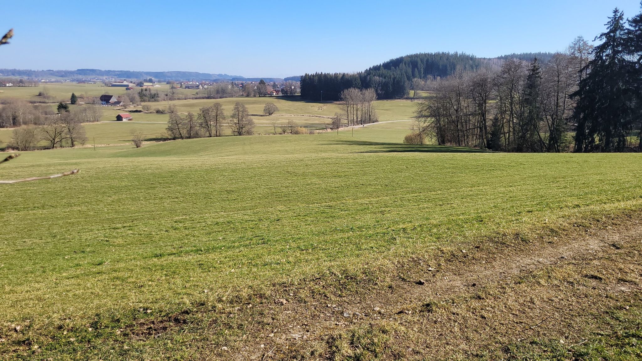 Zell