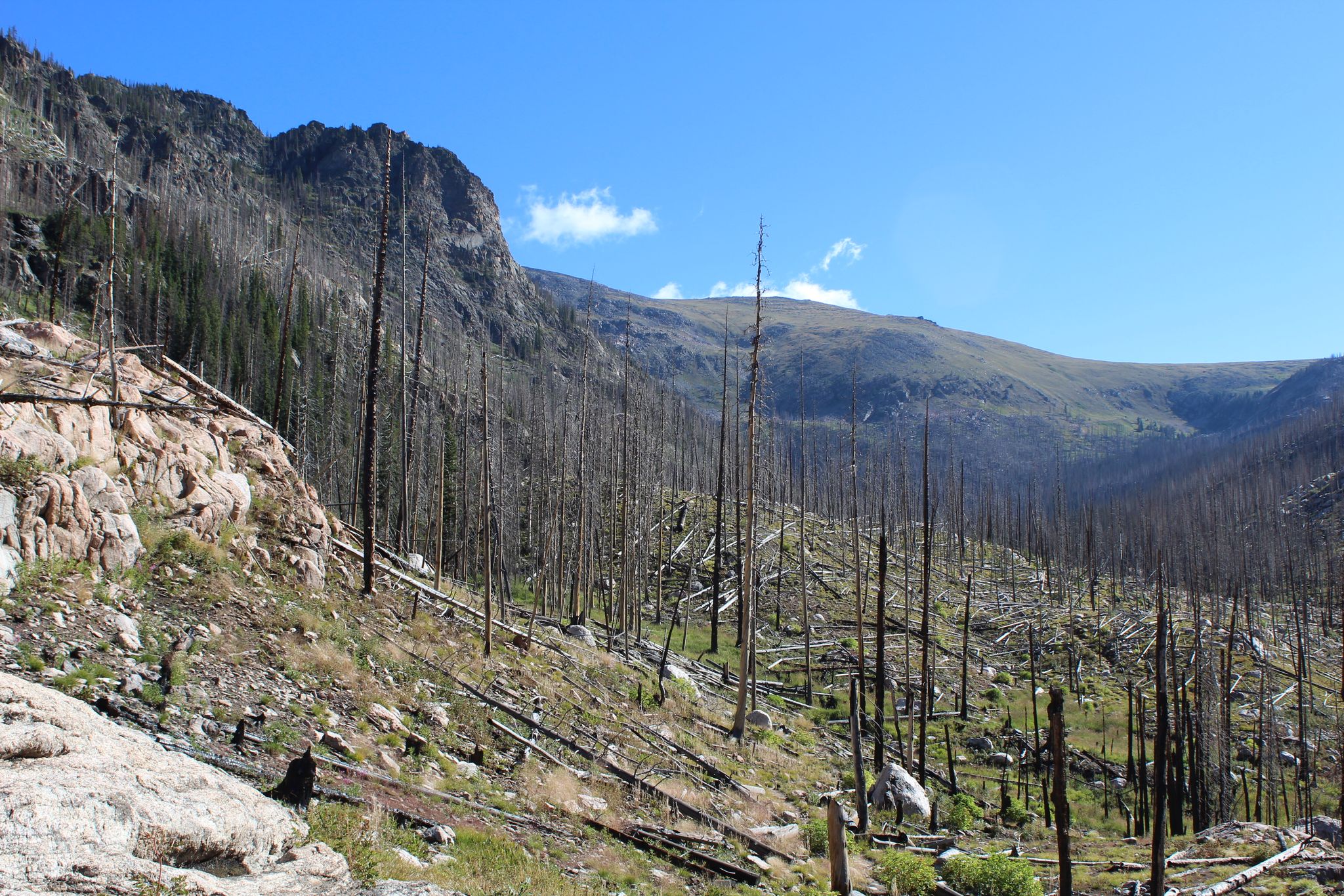 Mountain valley with rocky slopes and numerous burnt trees under a clear sky. - Tonahutu Creek Trail to Ptarmigan Point