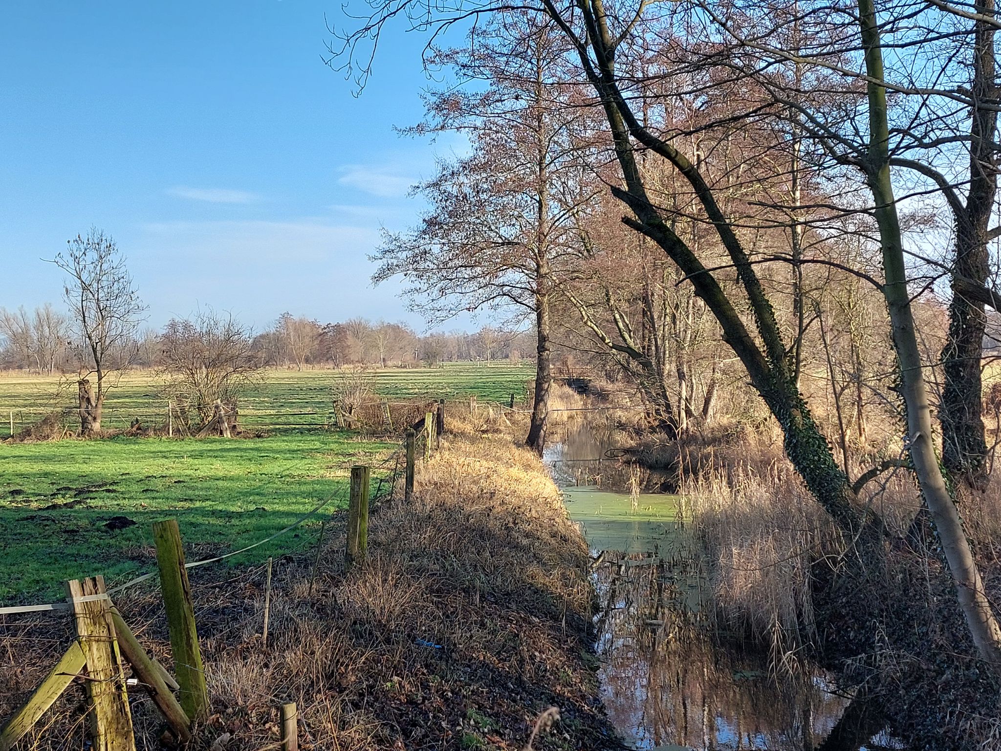 Blick zur Fuhne am Denkmal