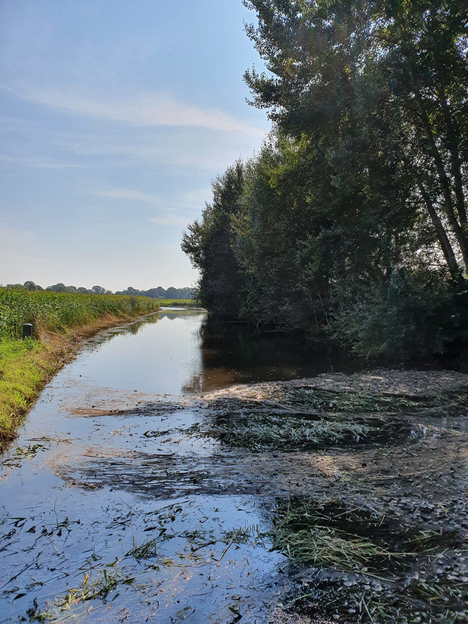 Radewijkerbeek