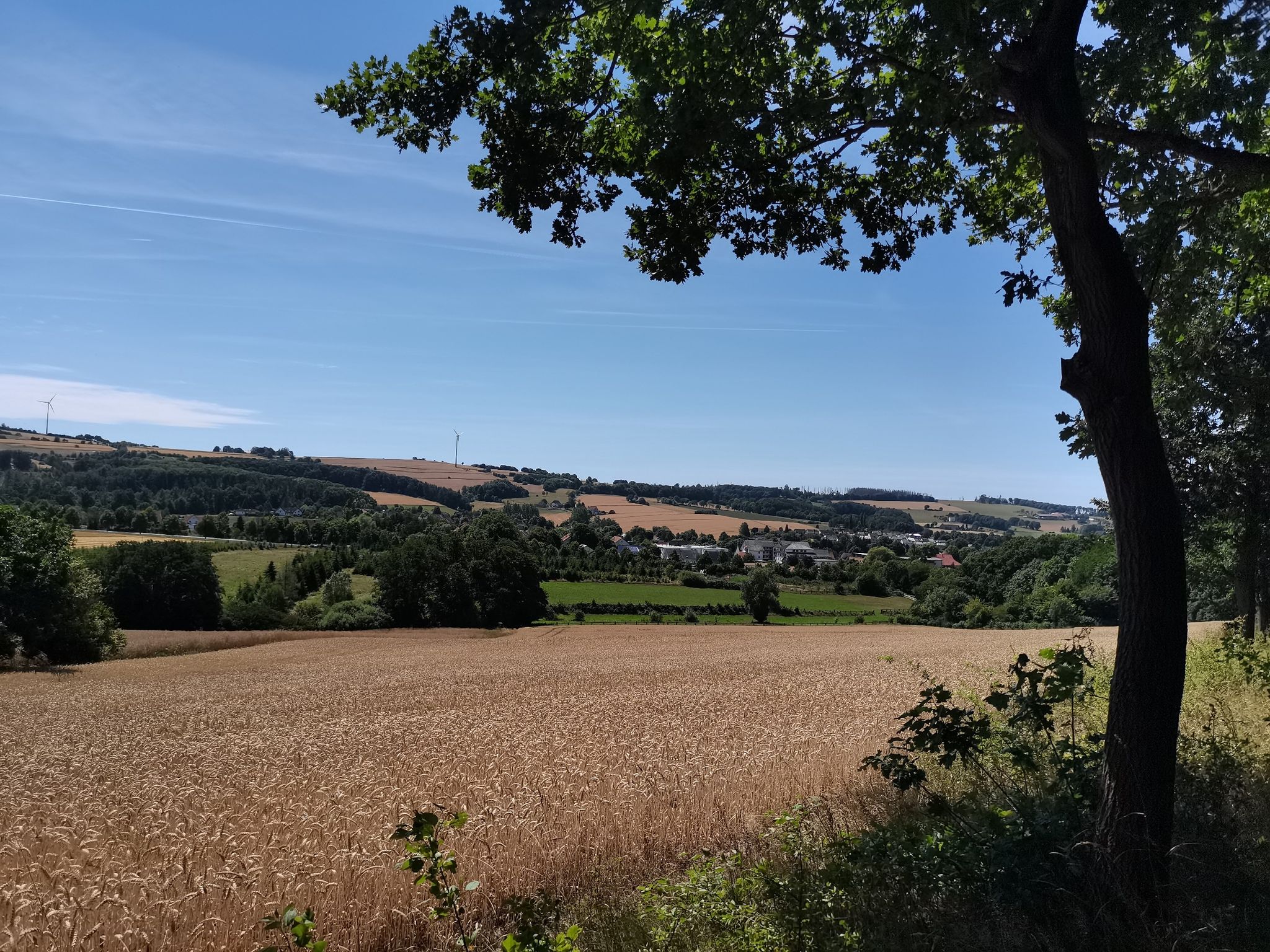 Bösingfeld