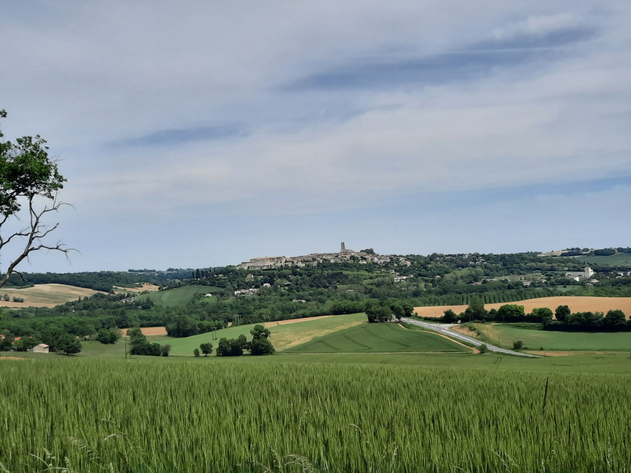 vue sur Lectoure
