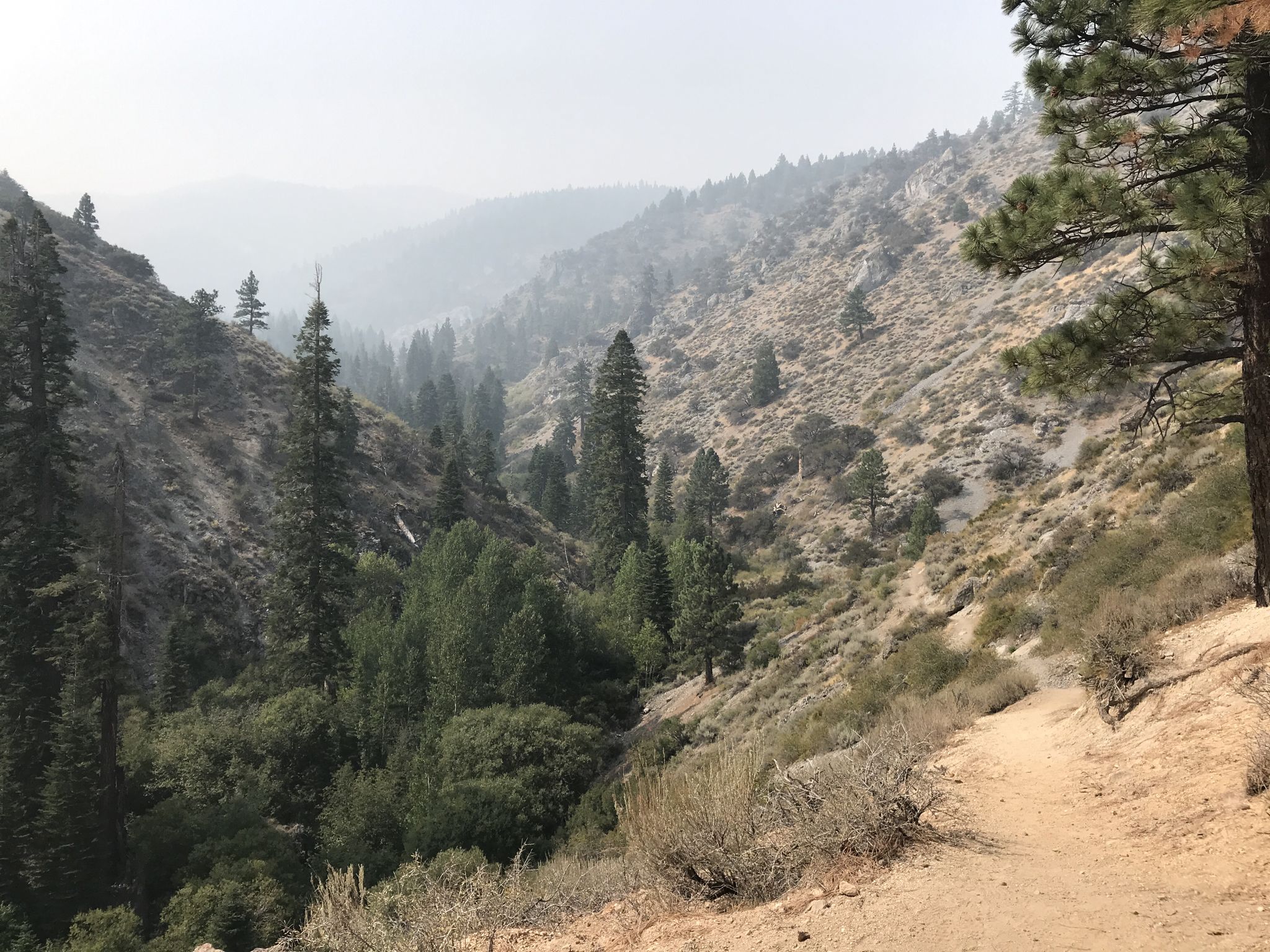 A hazy mountain valley with a dirt trail winding through pine trees. - Hunter Creek Trail