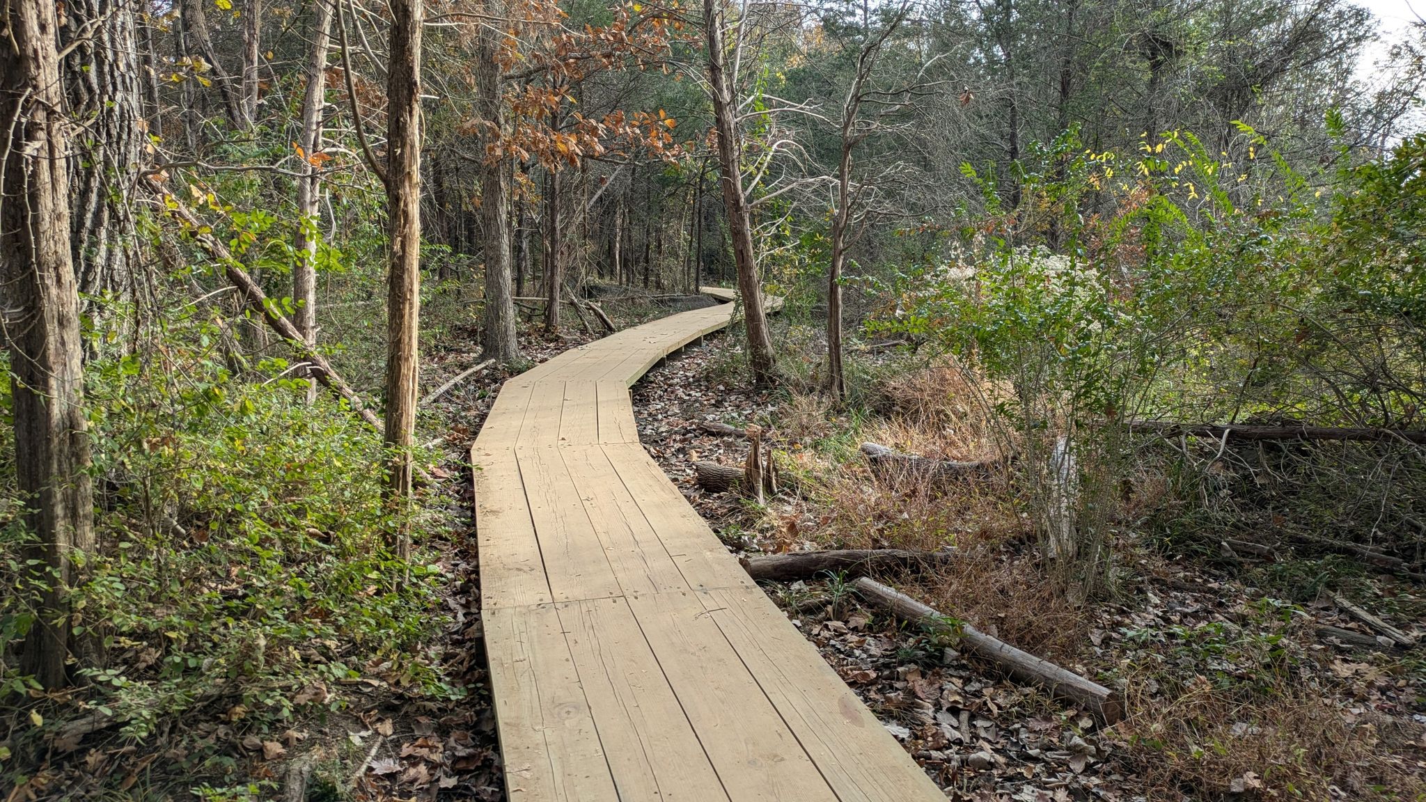 Winding wooden boardwalk through a forest with sparse foliage. - Beaverdam Reservoir Trail loop from Broadlands protected nature reserve