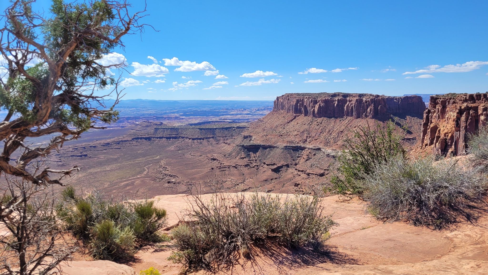 Desert landscape with a large mesa and canyon under a bright blue sky. - Grand View Point Overlook – Grand View Point Trail loop from Orange Cliffs Overlook Parking