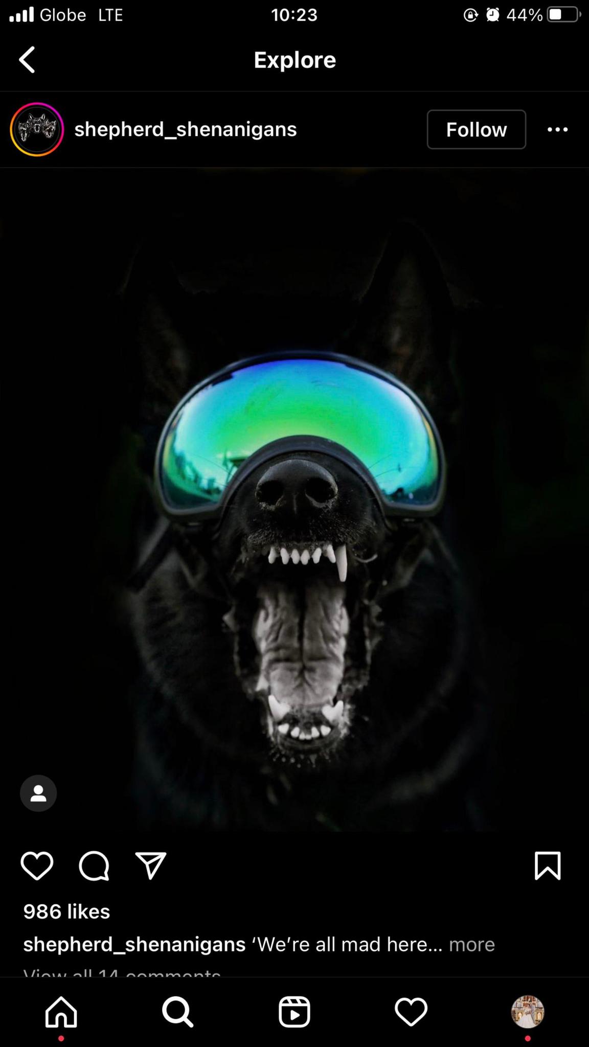 user avatar